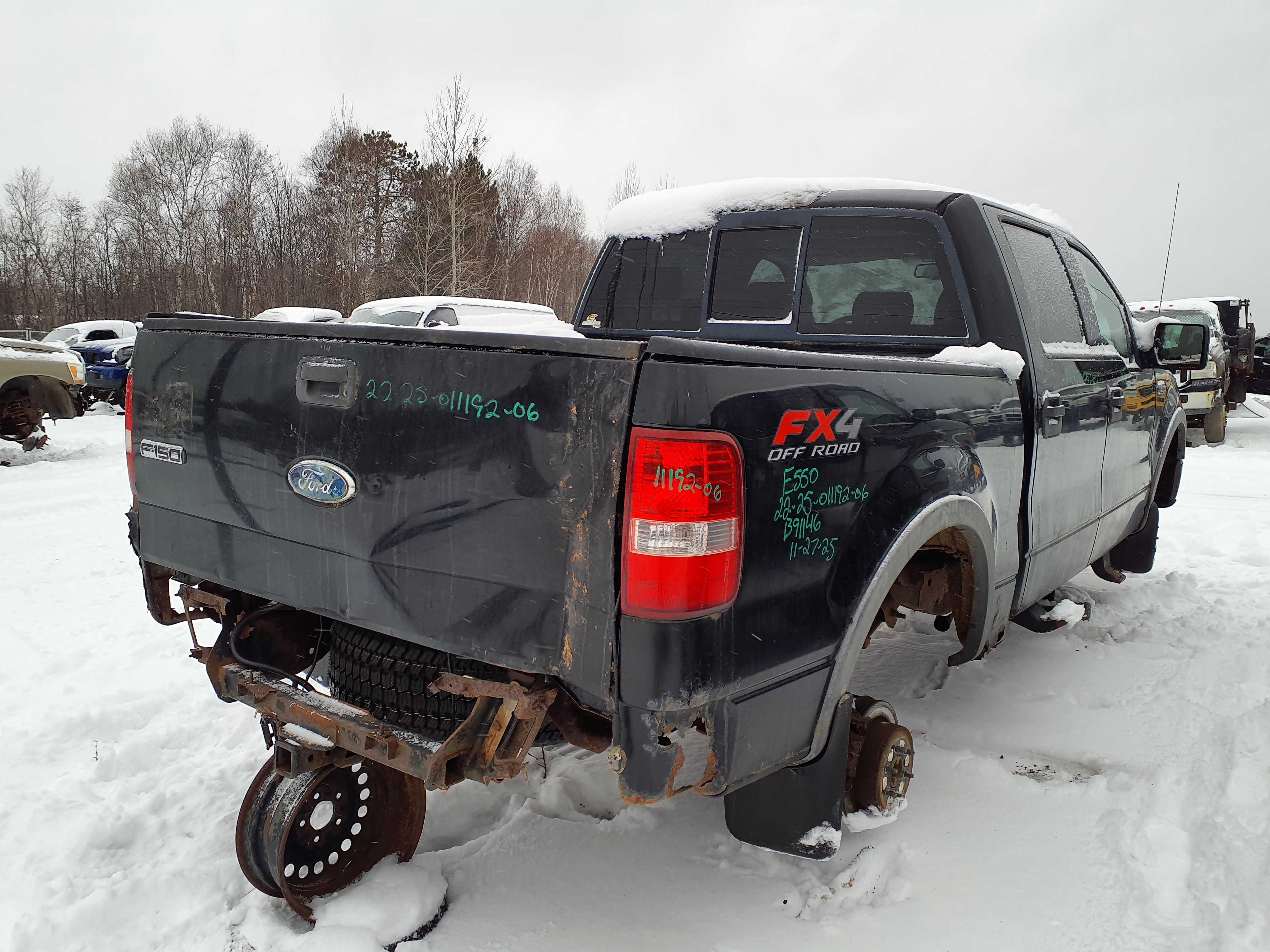 FORD F-150 2006