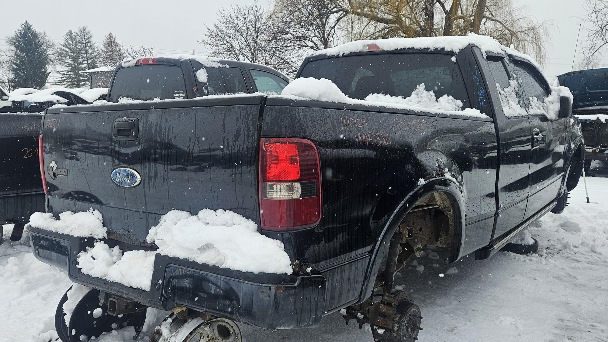 FORD F-150 2006