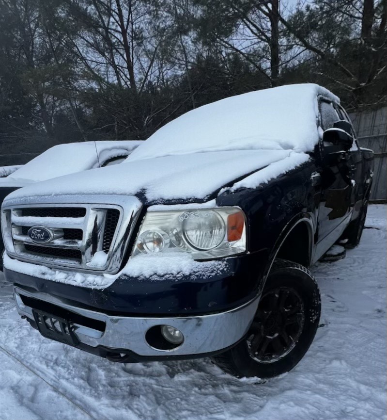 FORD F-150 2007