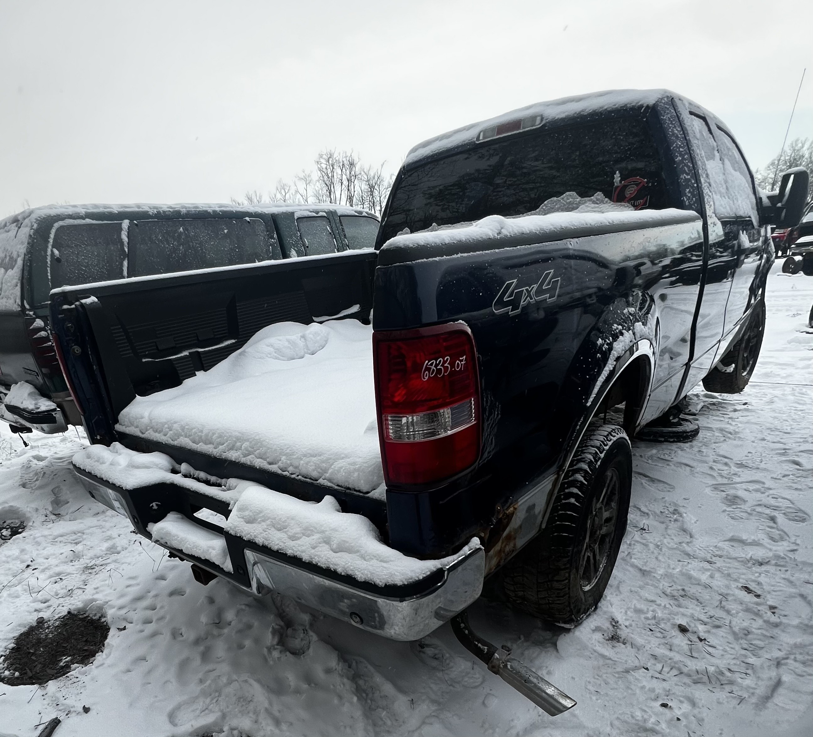 FORD F-150 2007