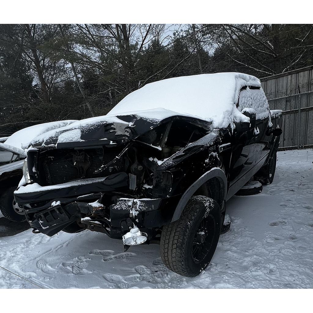FORD F-150 2008