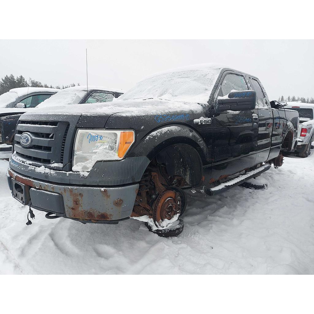 FORD F-150 2010