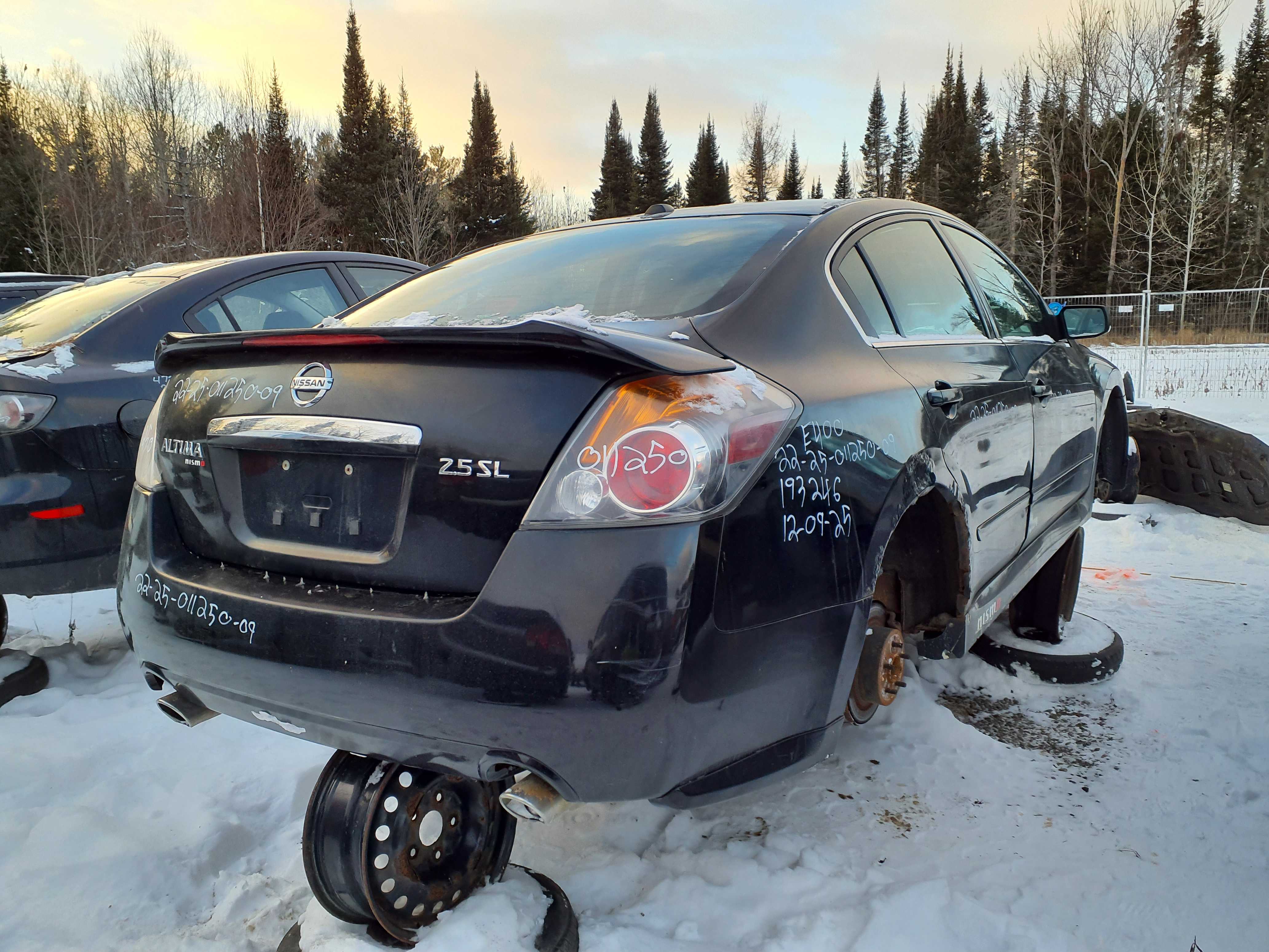 NISSAN ALTIMA 2009
