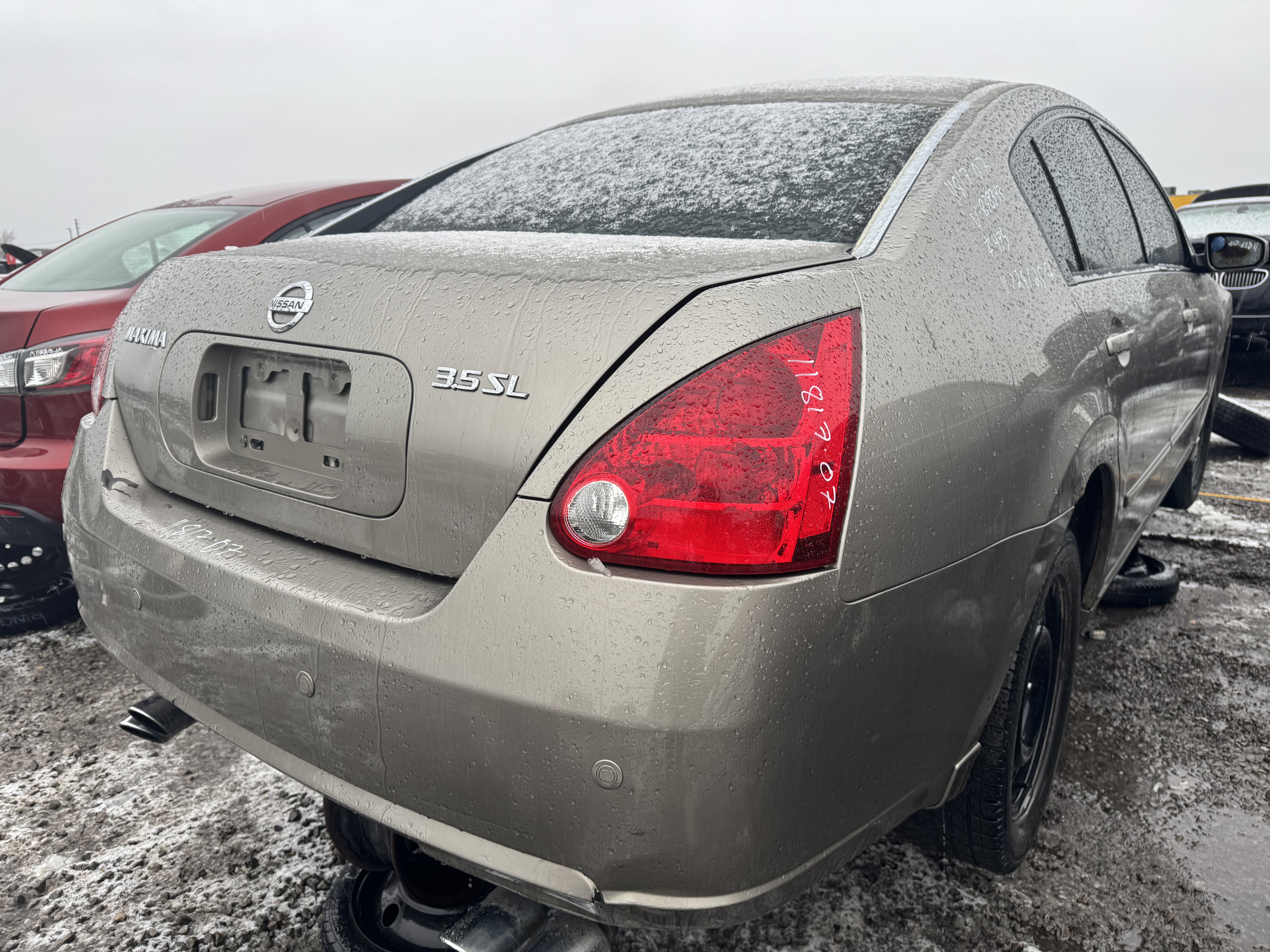 NISSAN MAXIMA 2007