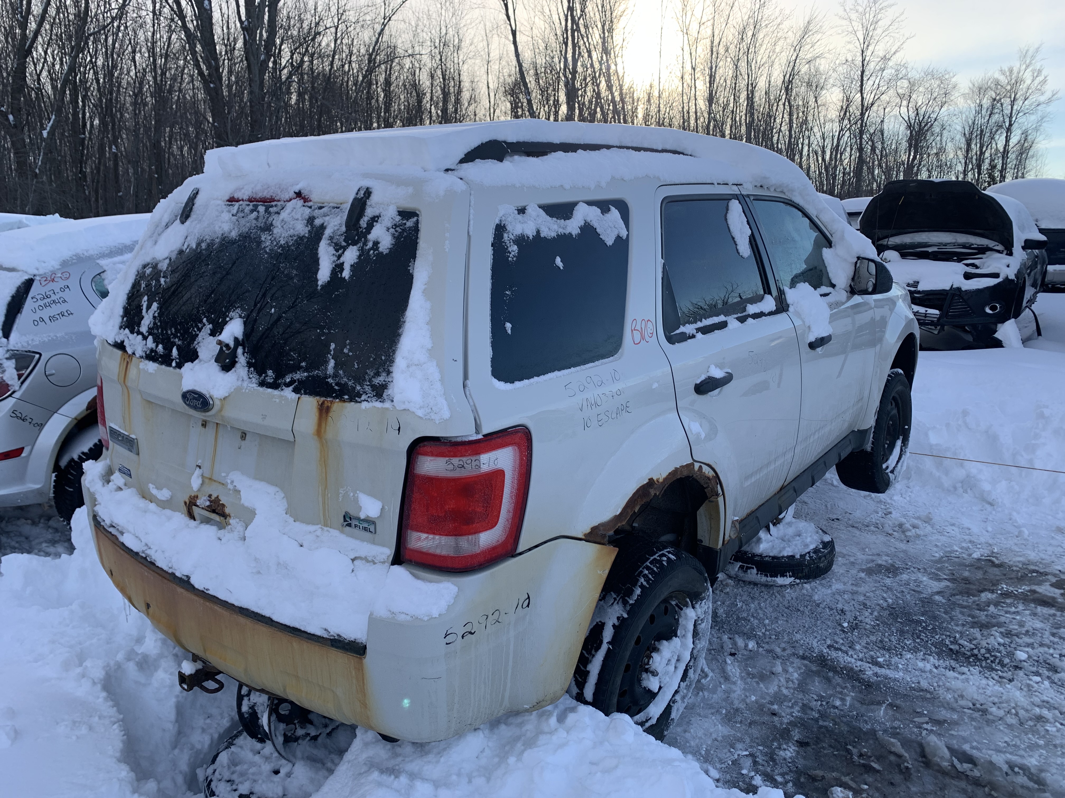 FORD ESCAPE 2010