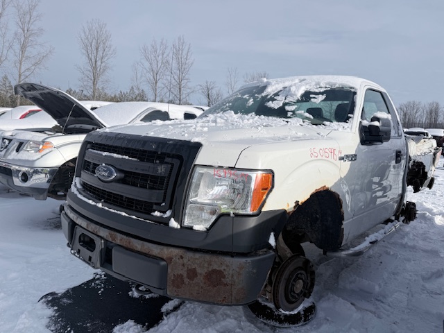 FORD F-150 2014