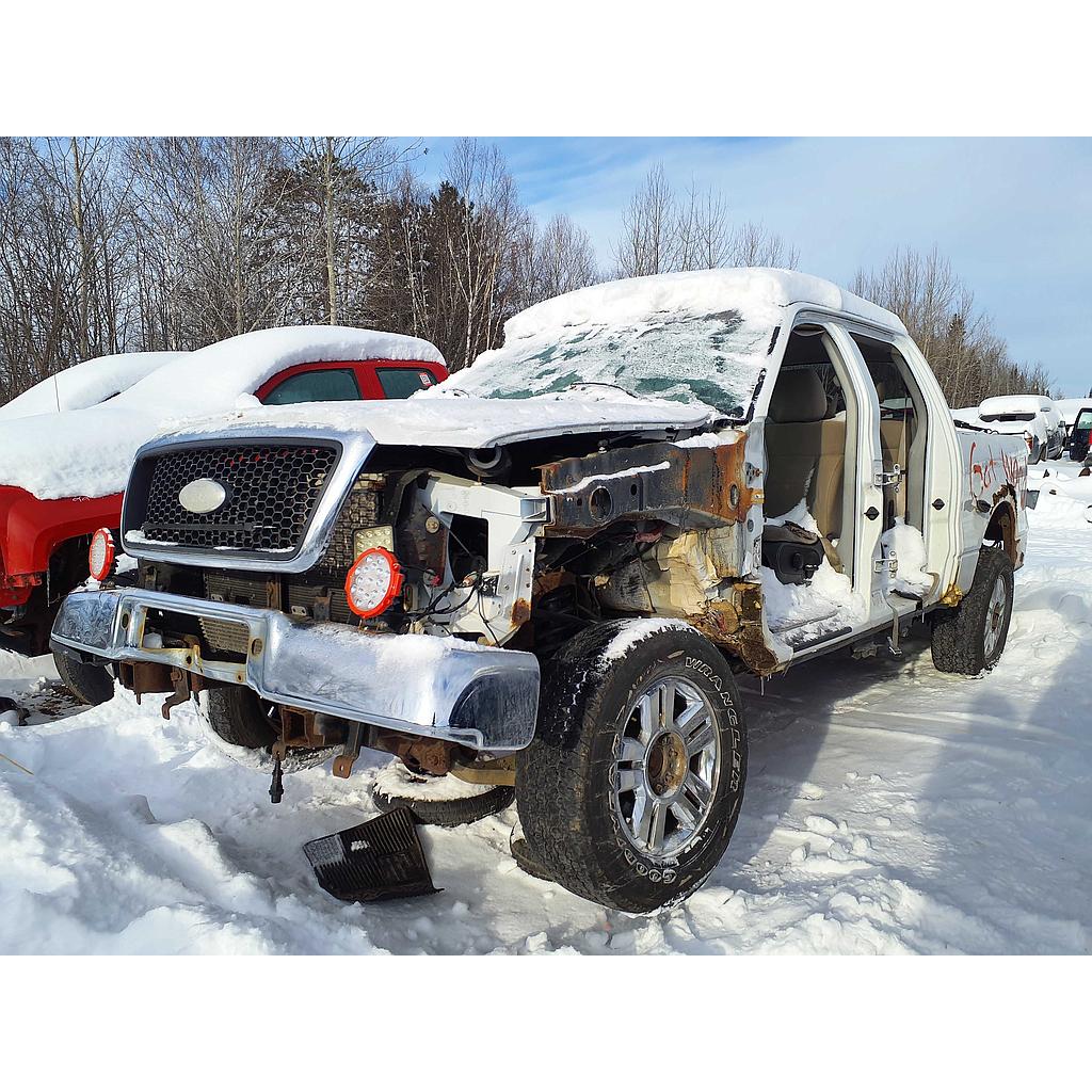 FORD F-150 2008