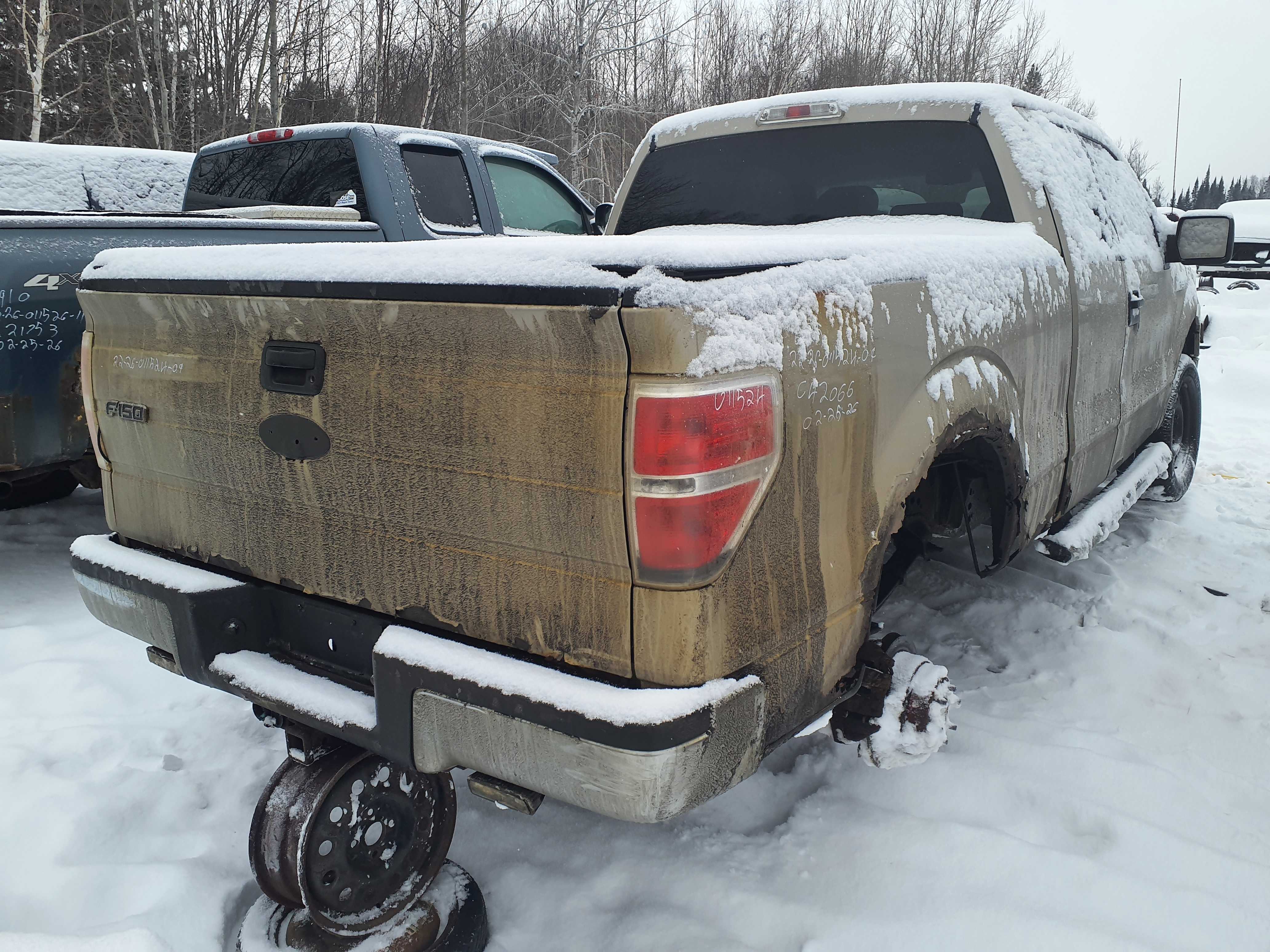 FORD F-150 2009