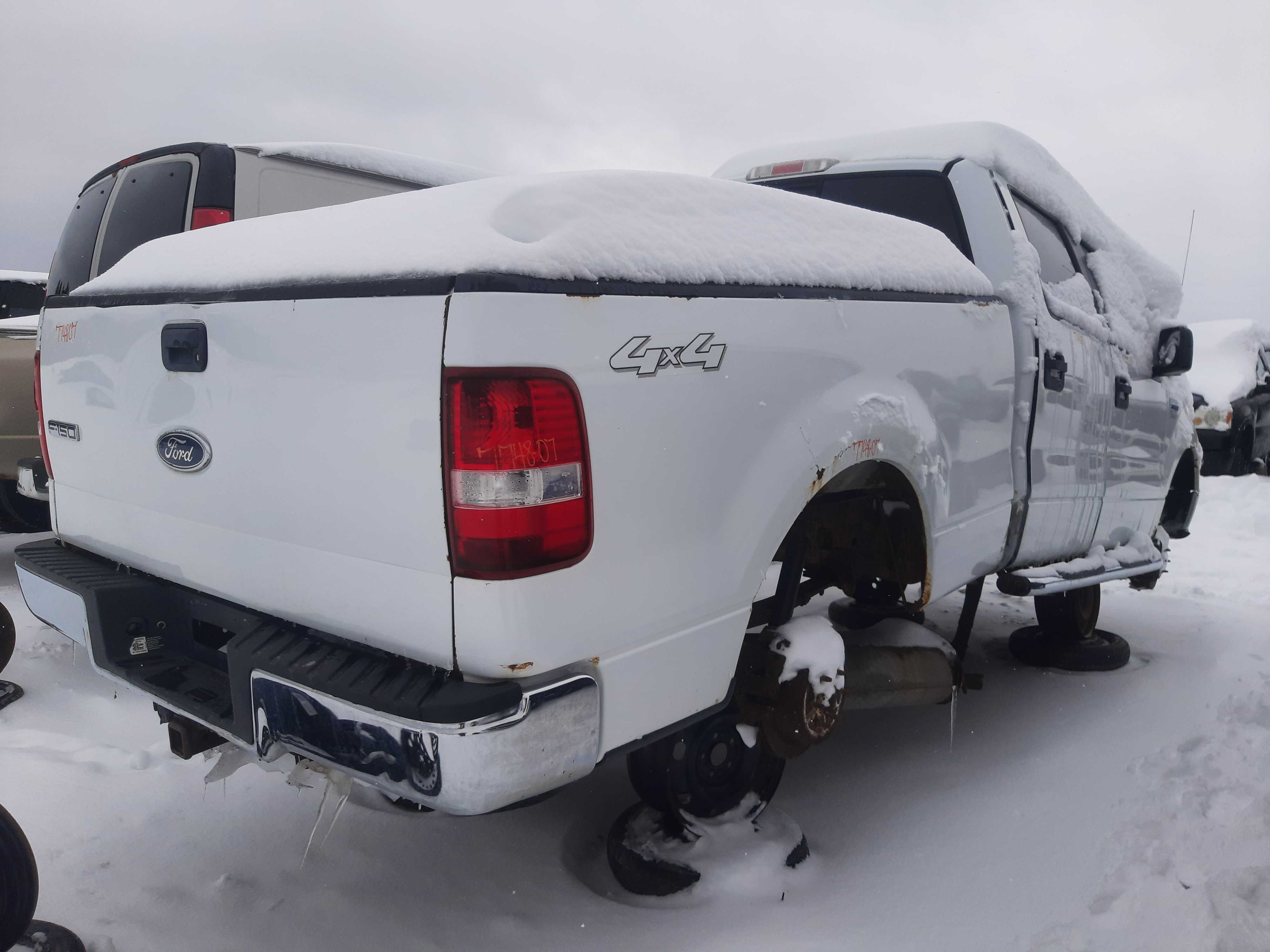 FORD F-150 2007