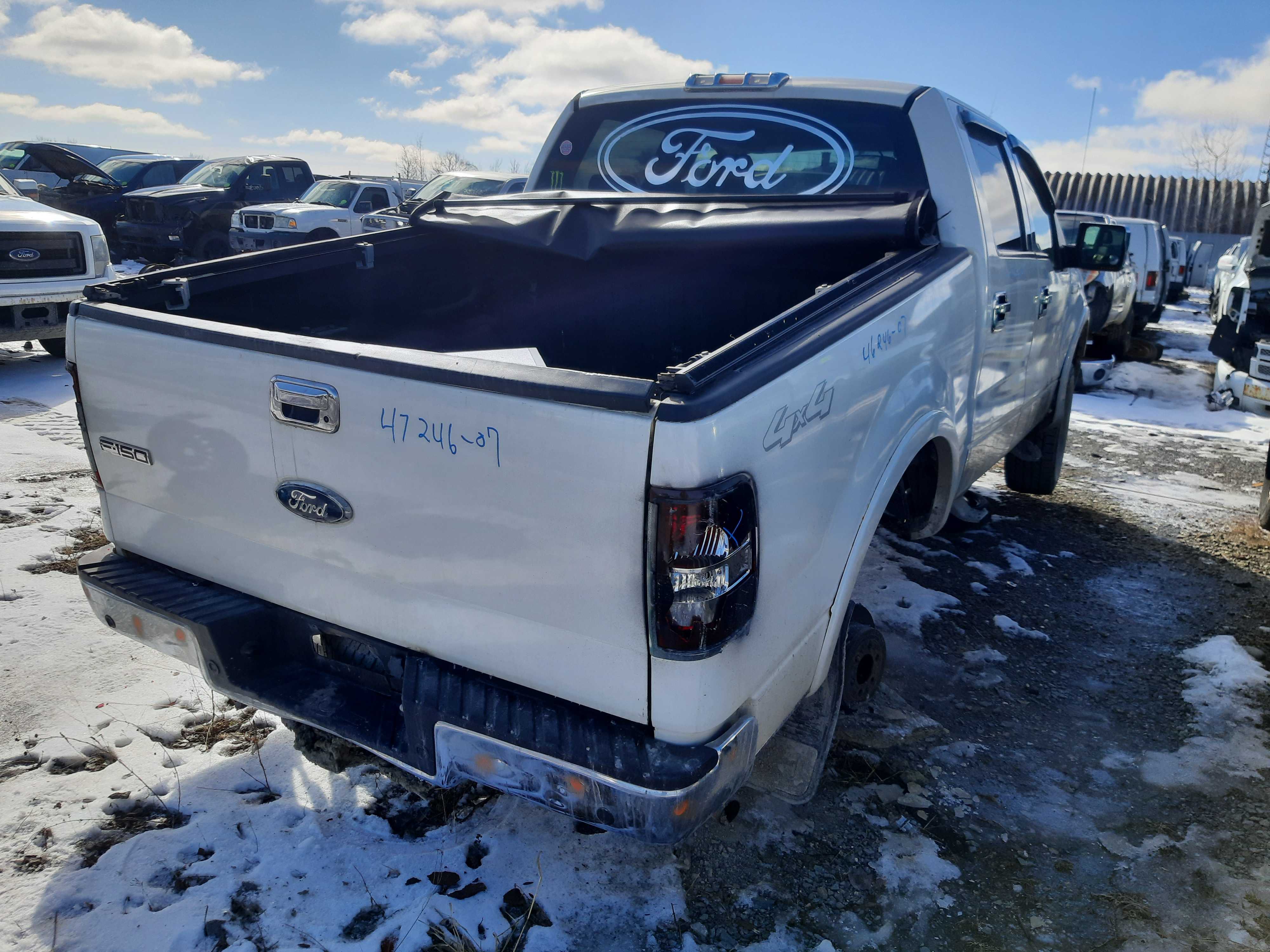 FORD F-150 2007