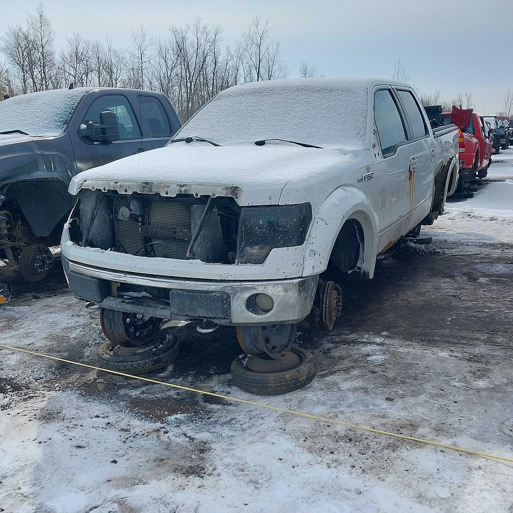 FORD F-150 2009
