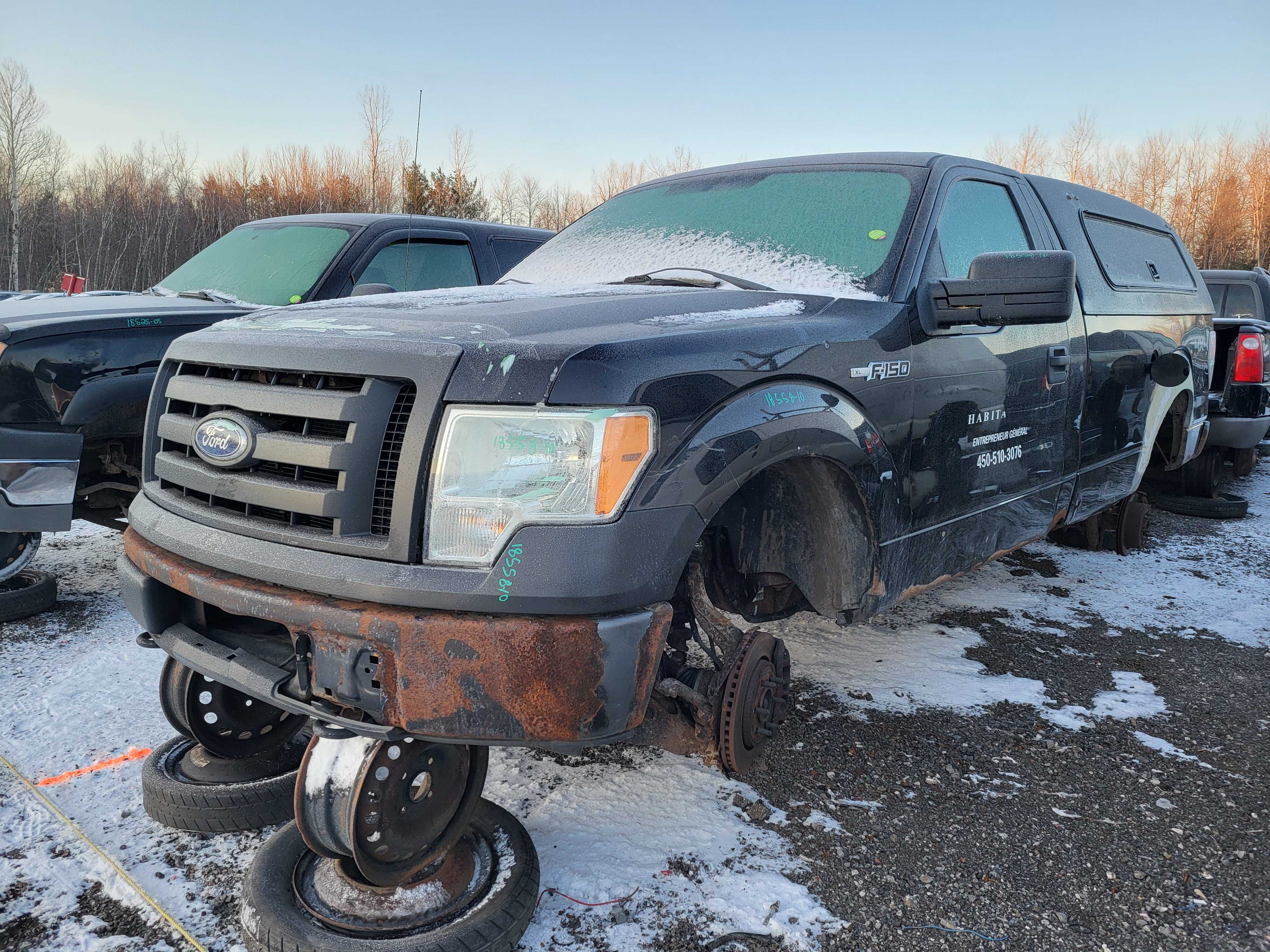 FORD F-150 2010