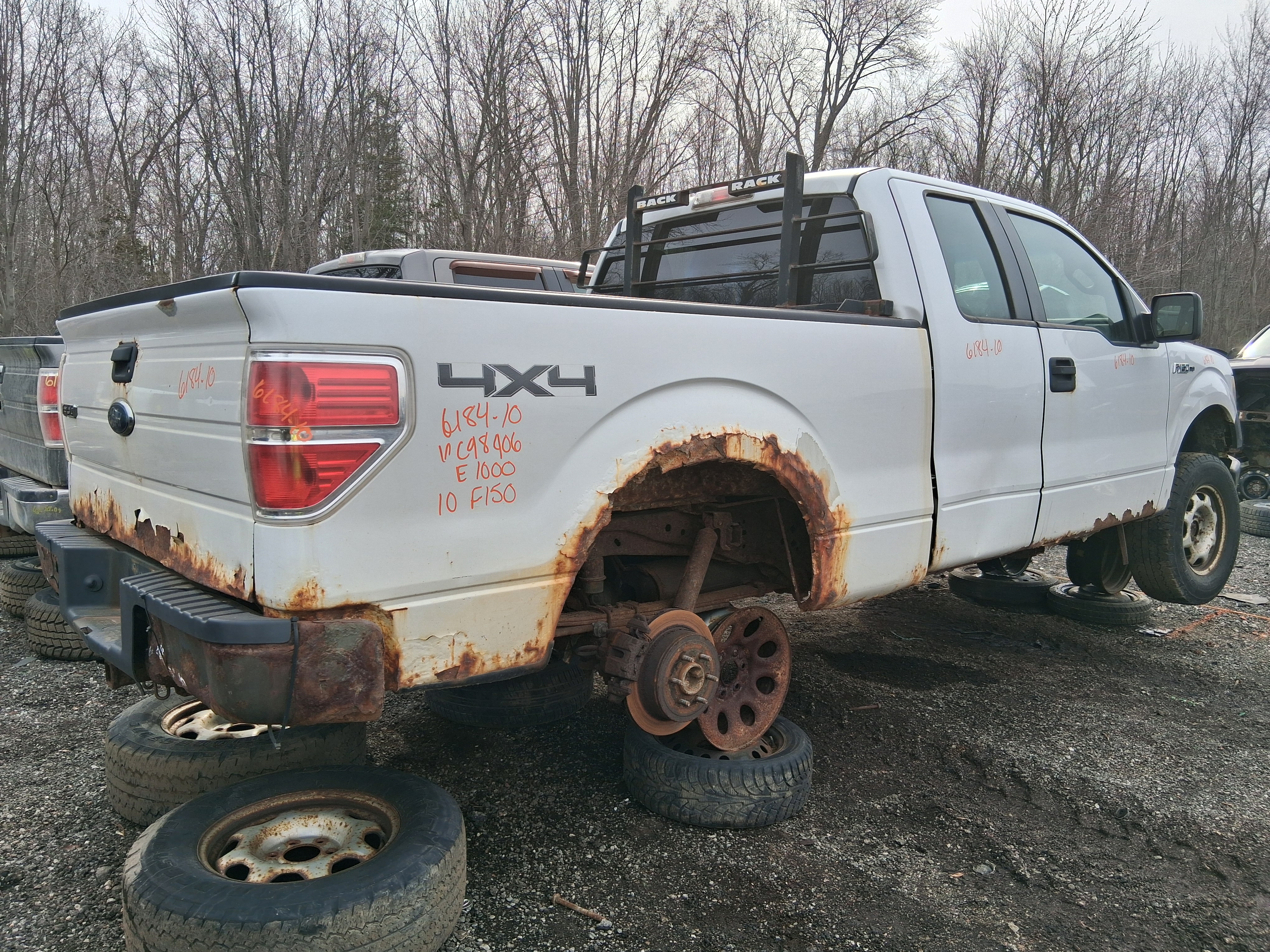 FORD F-150 2010