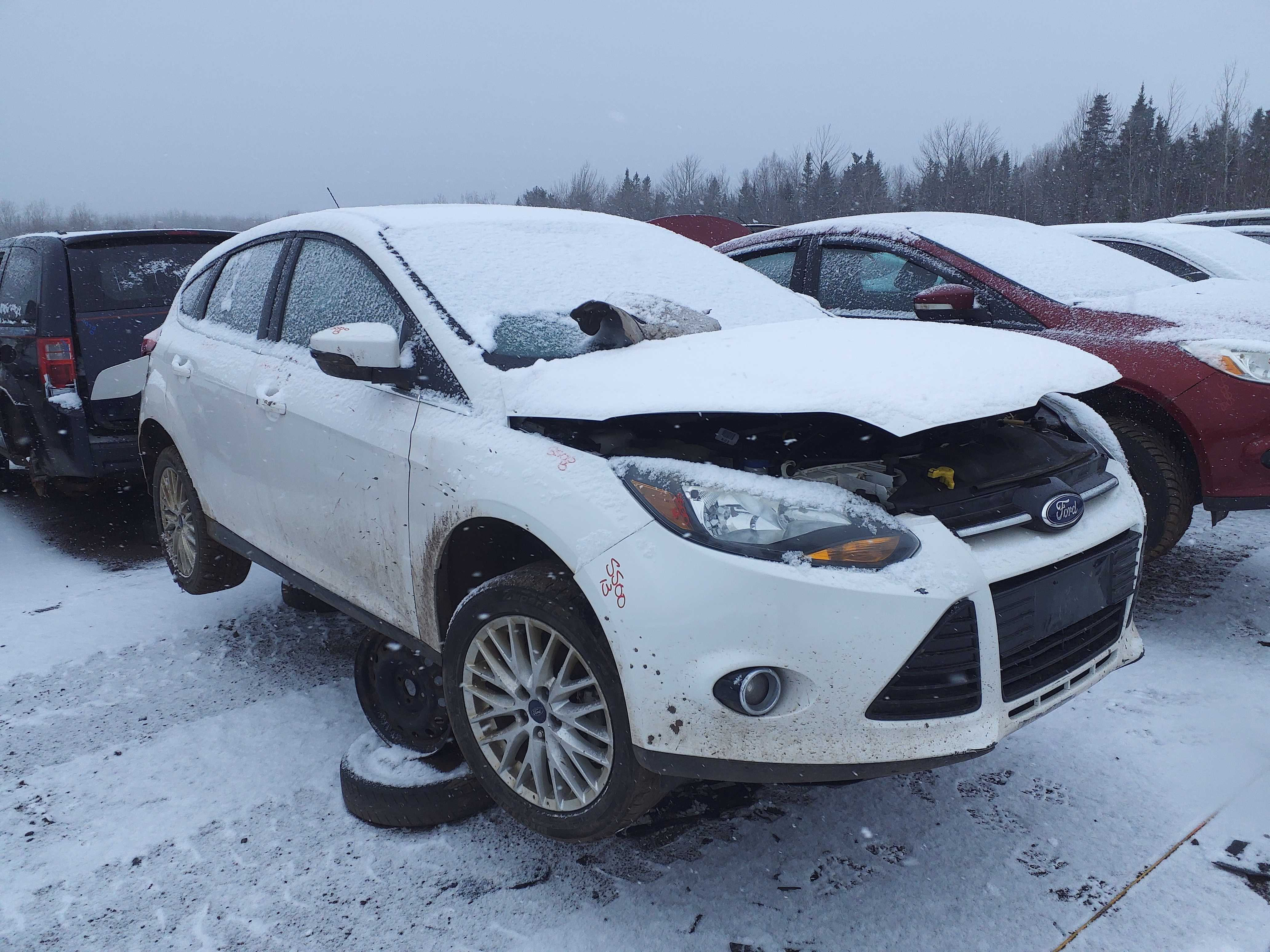 FORD FOCUS 2013