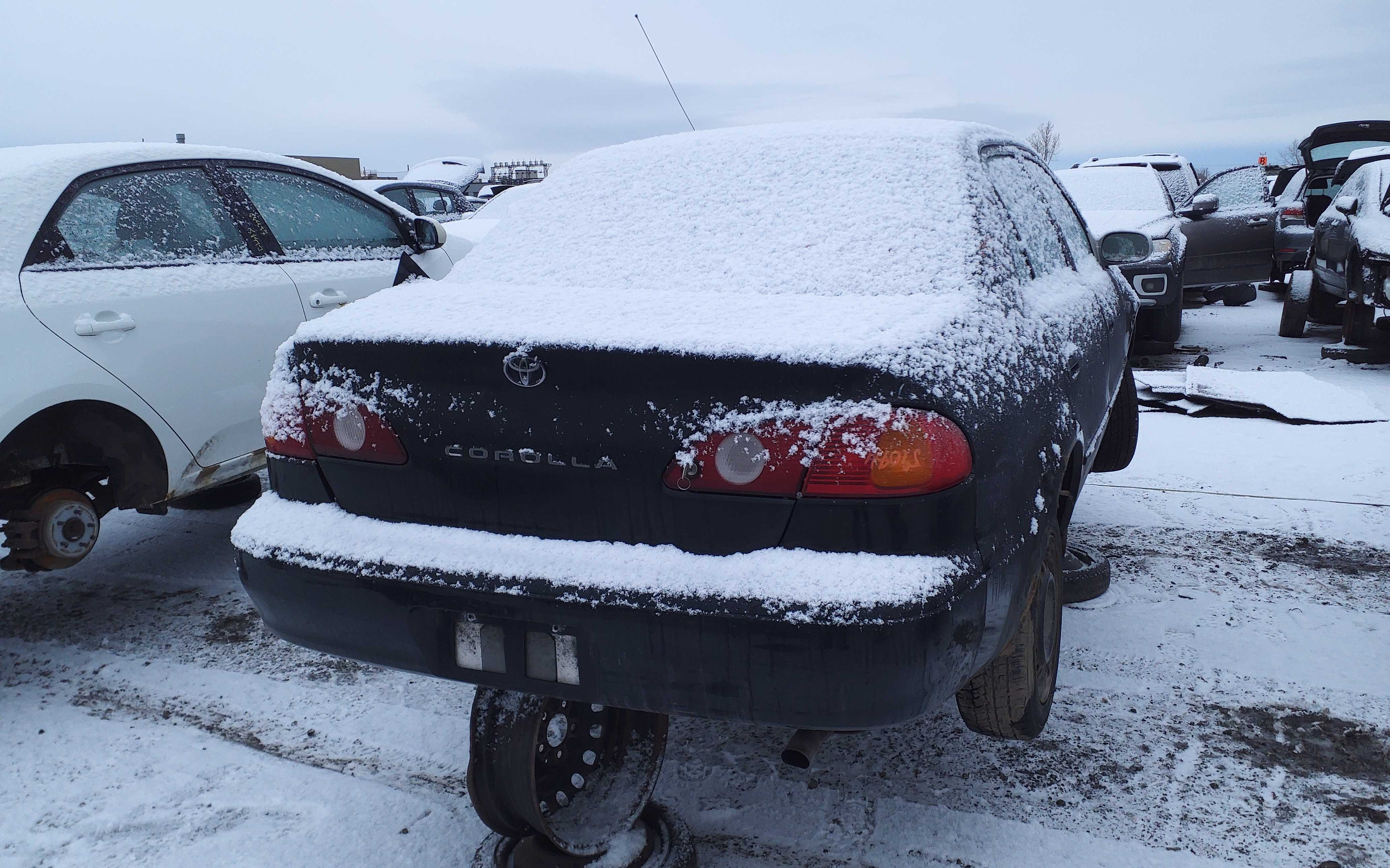 TOYOTA COROLLA 2001