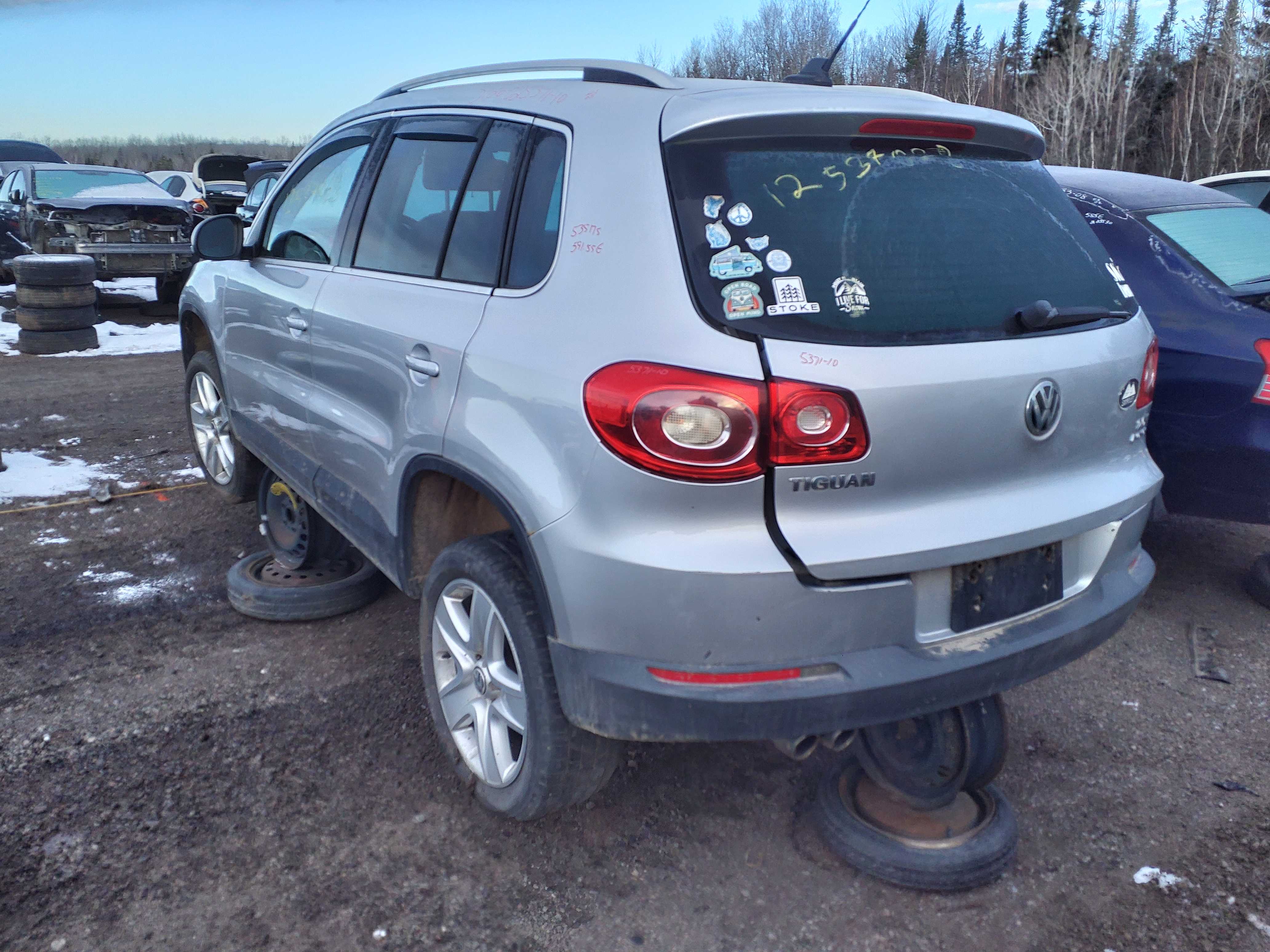 VOLKSWAGEN TIGUAN 2010