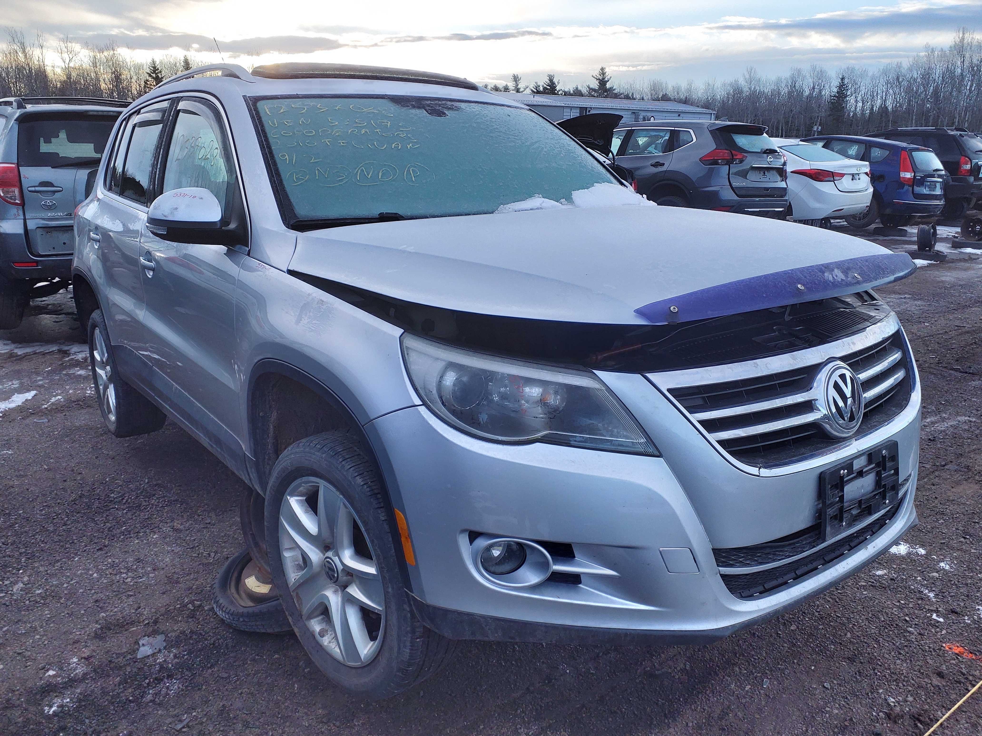VOLKSWAGEN TIGUAN 2010