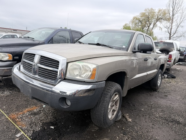 DODGE DAKOTA 2005