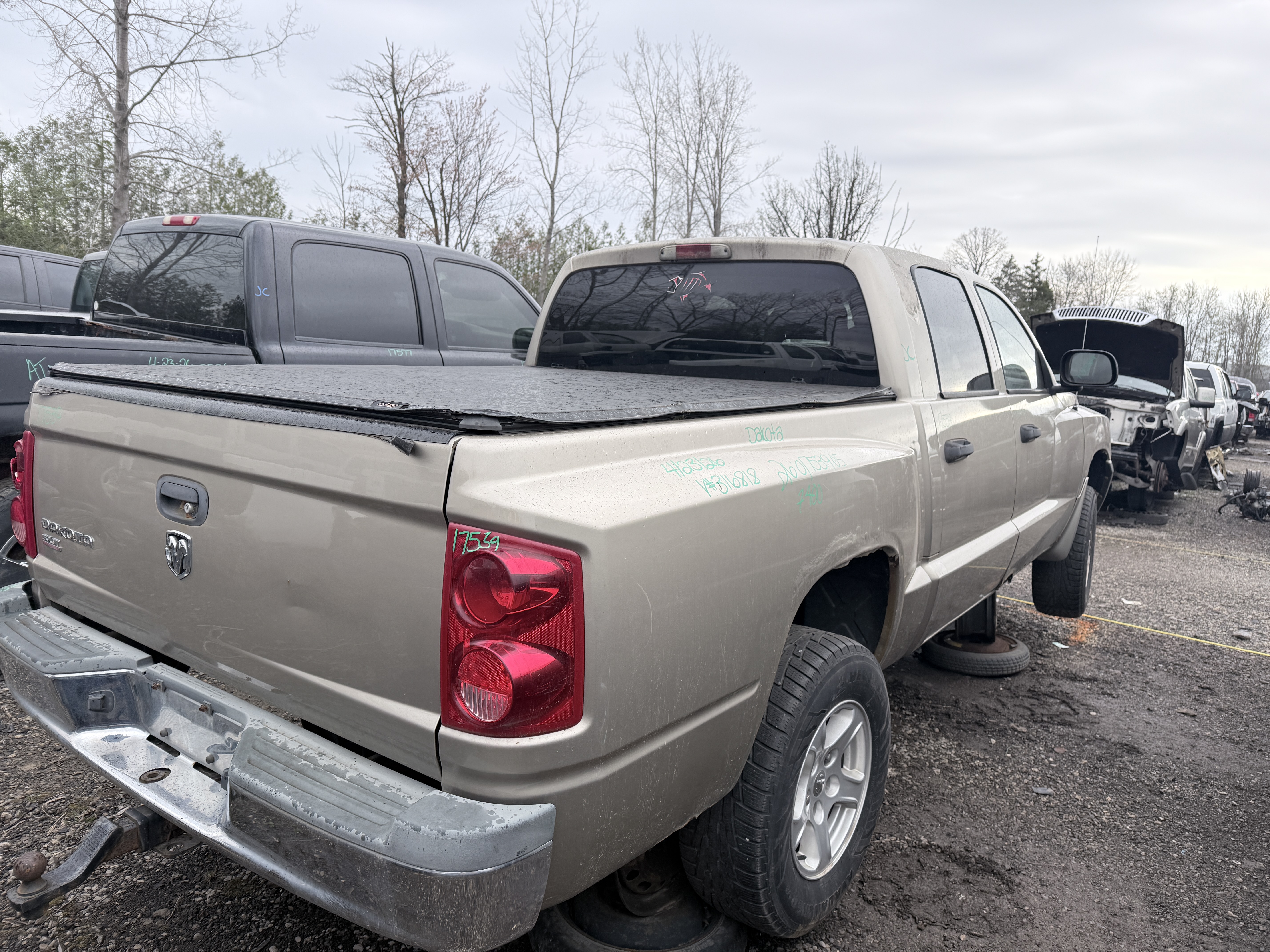 DODGE DAKOTA 2005