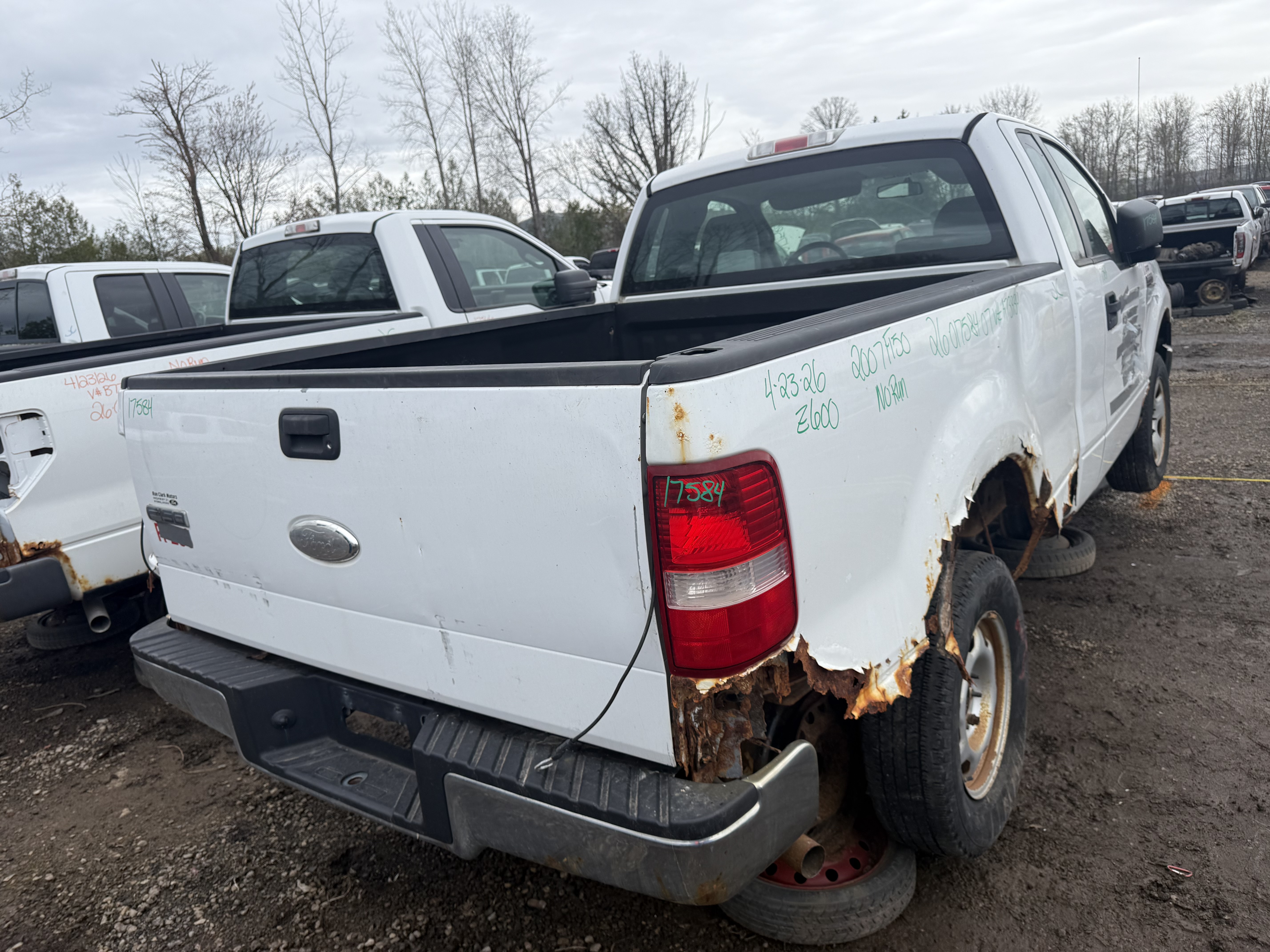 FORD F-150 2007