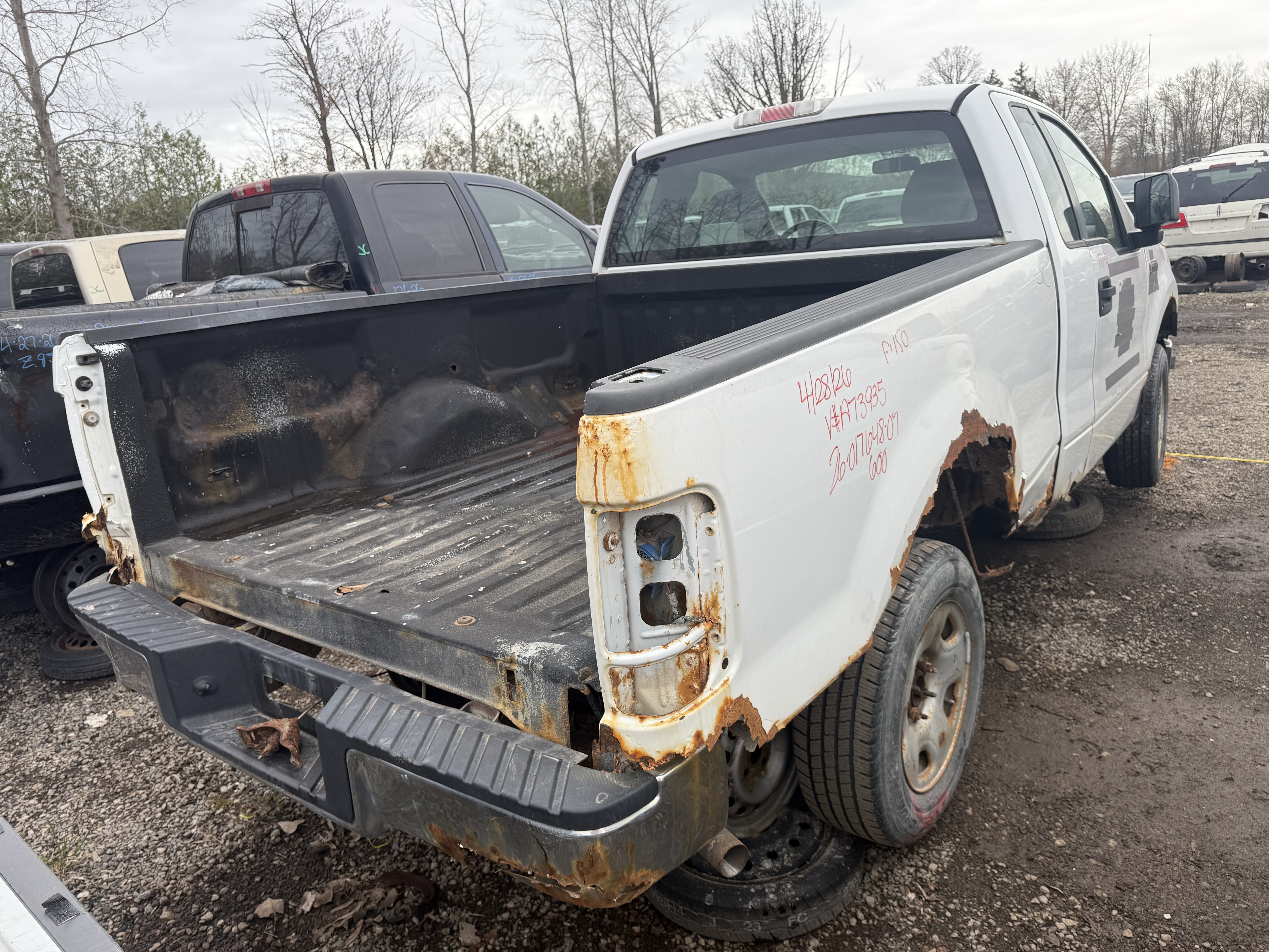 FORD F-150 2007
