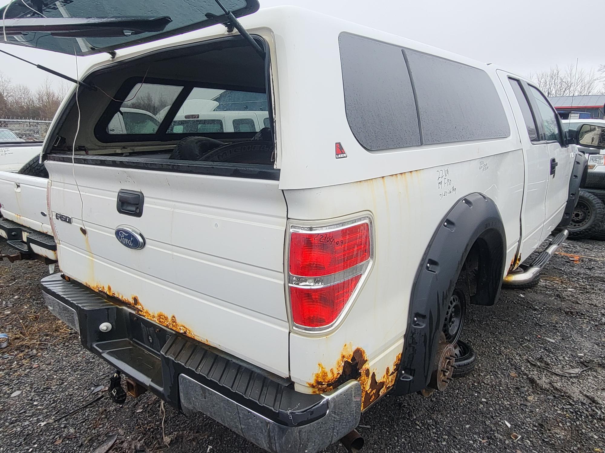 FORD F-150 2009