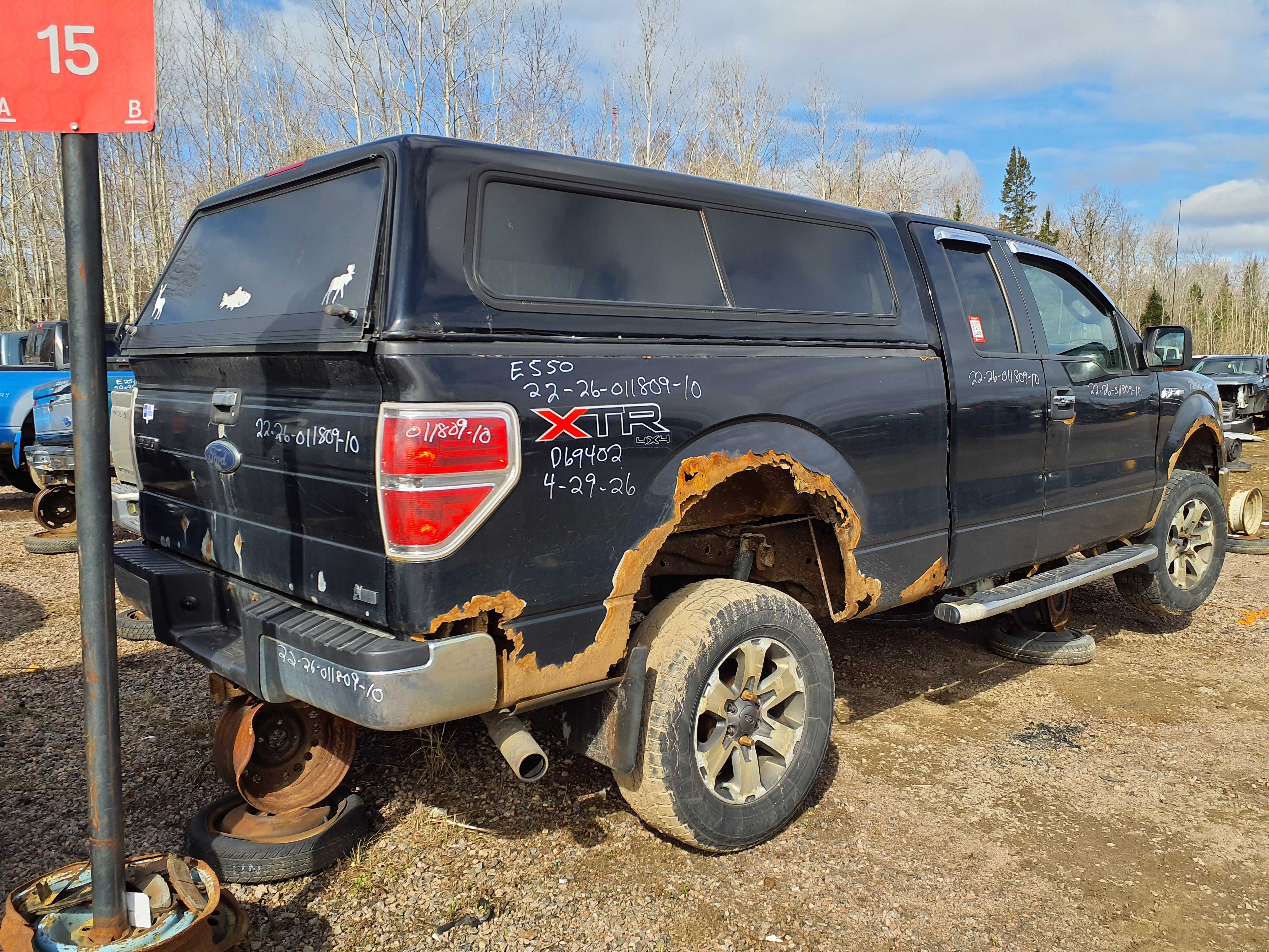 FORD F-150 2010