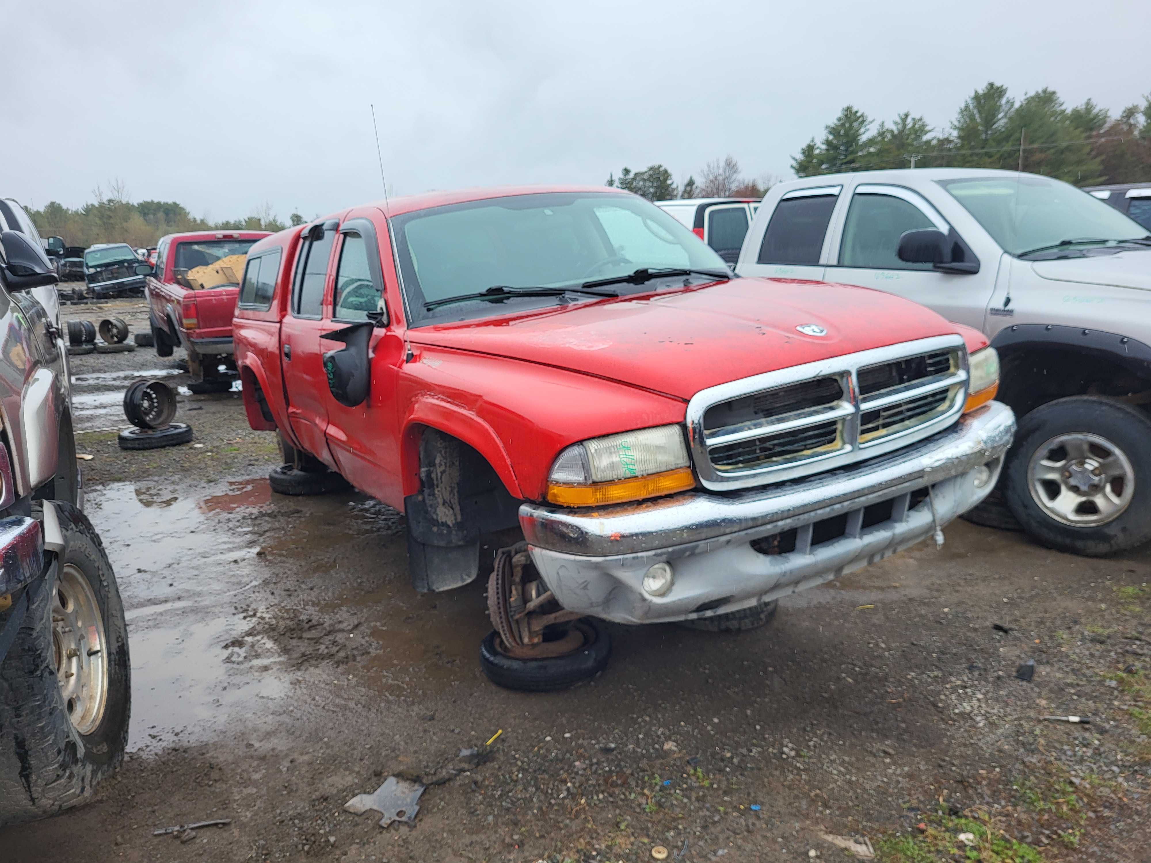 DODGE DAKOTA 2004