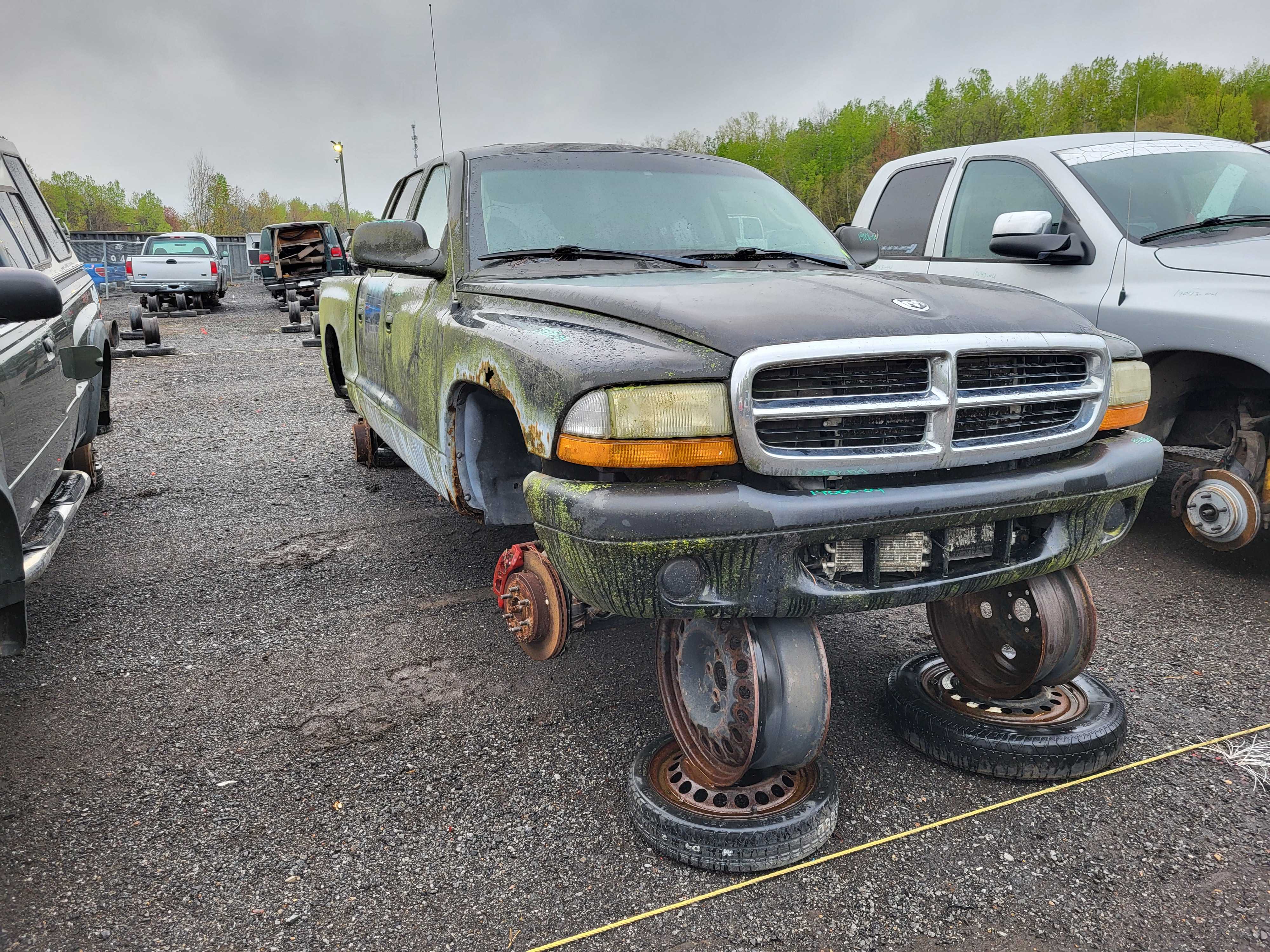 DODGE DAKOTA 2004