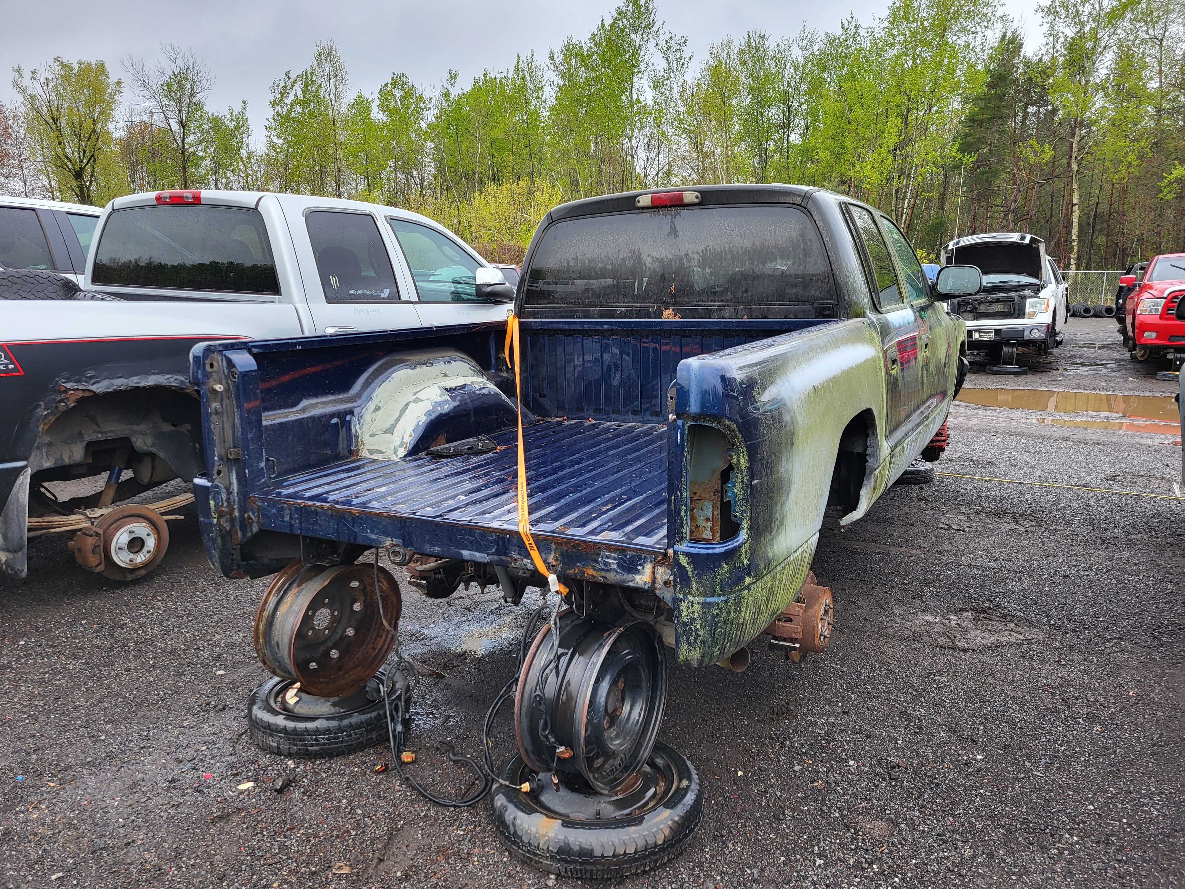 DODGE DAKOTA 2004