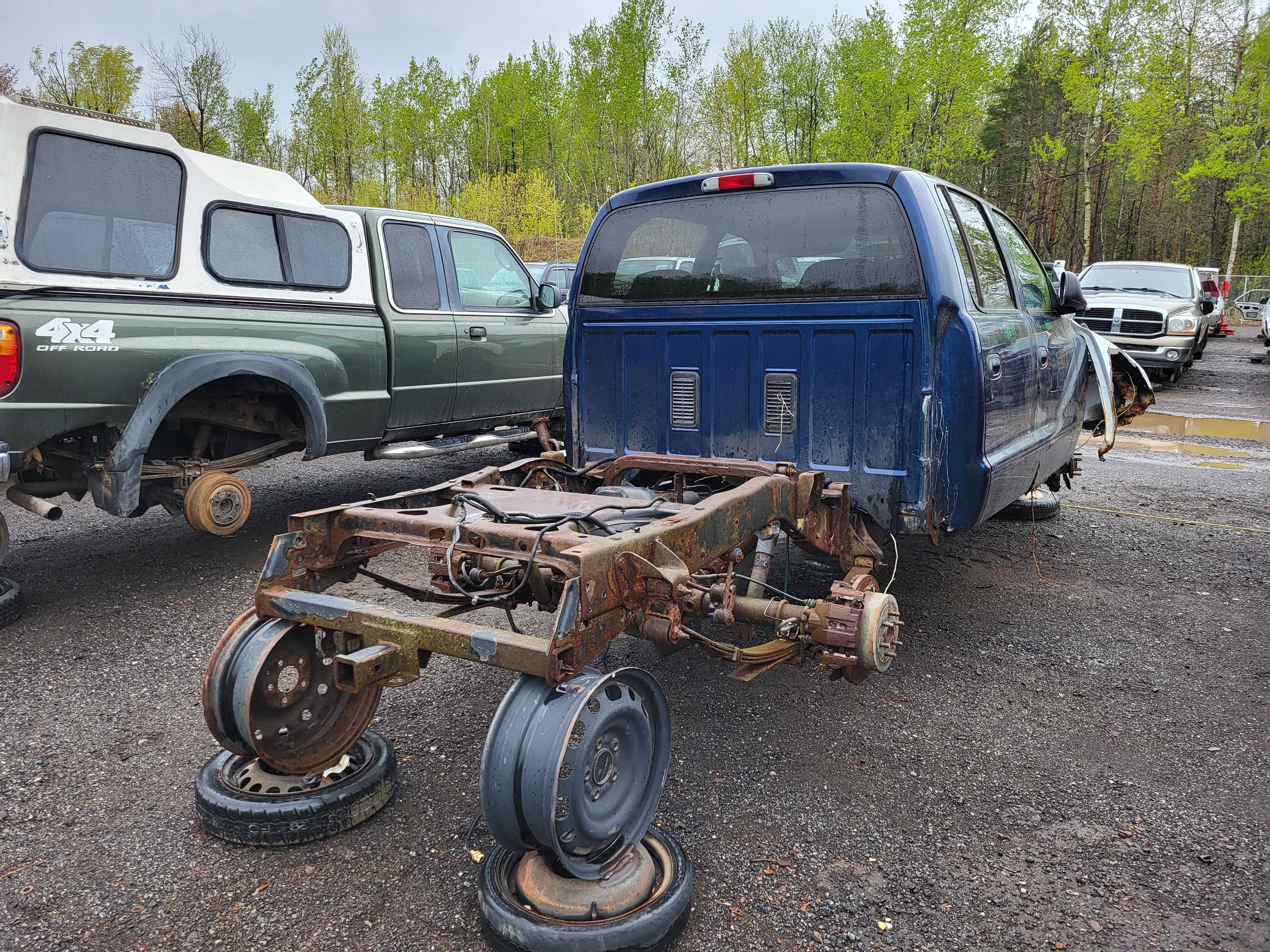 DODGE DAKOTA 2004