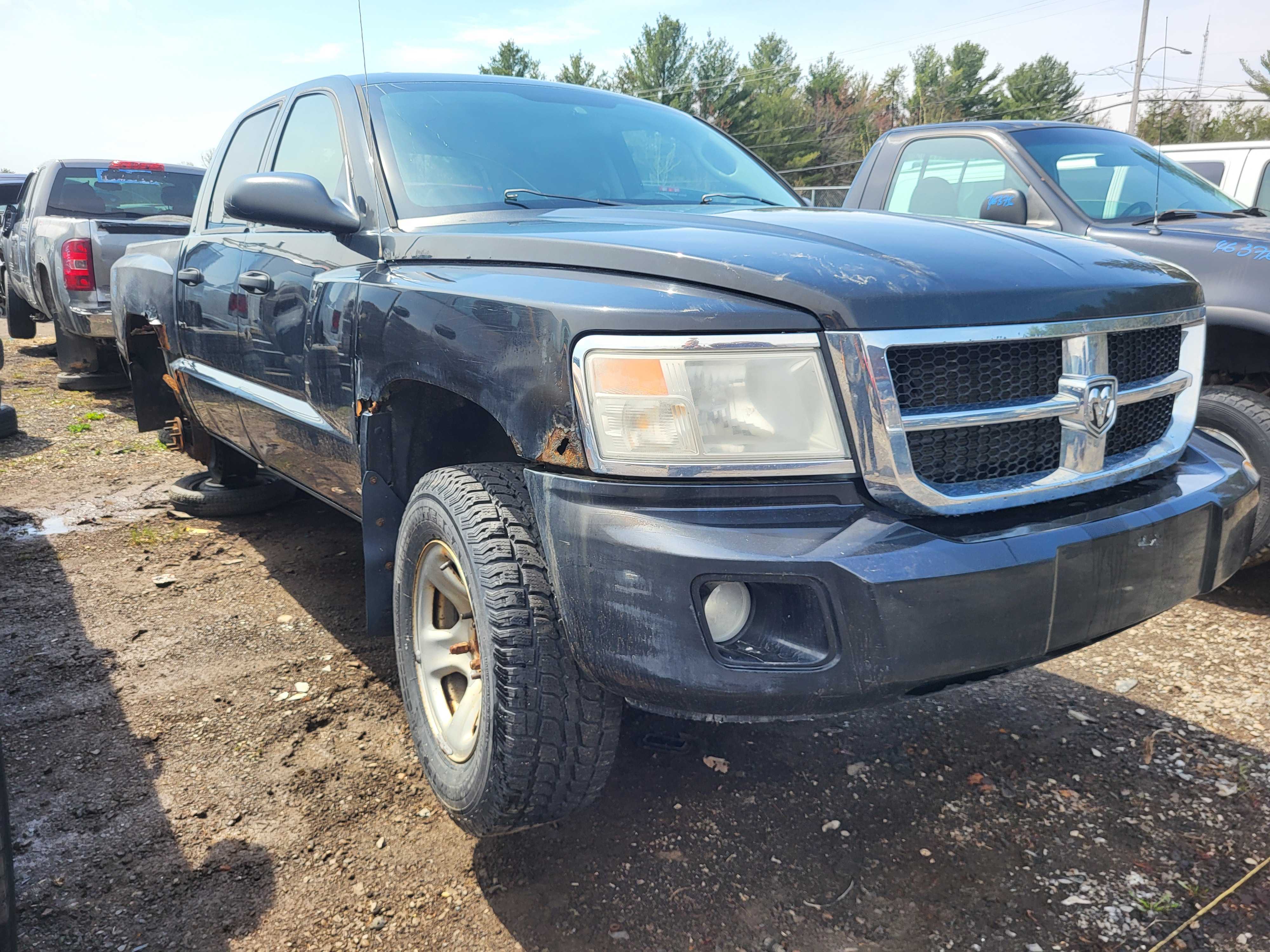DODGE DAKOTA 2008