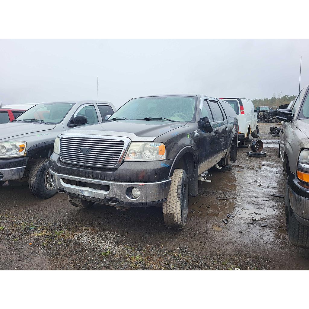 FORD F-150 2007
