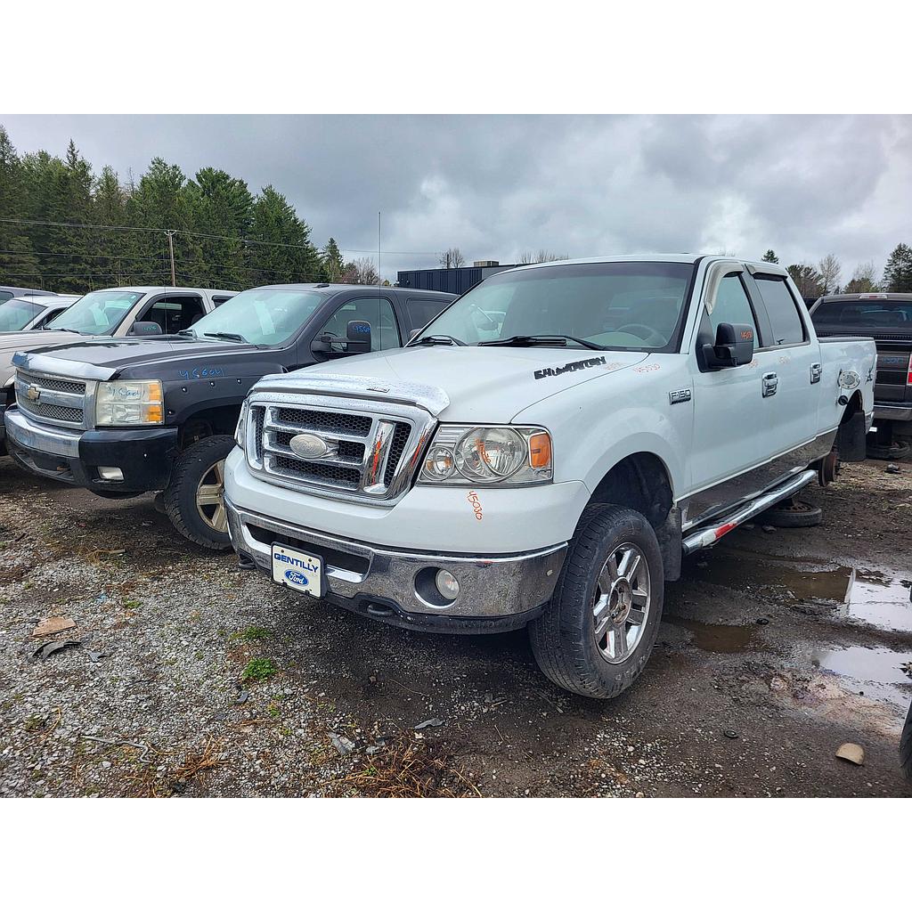 FORD F-150 2007