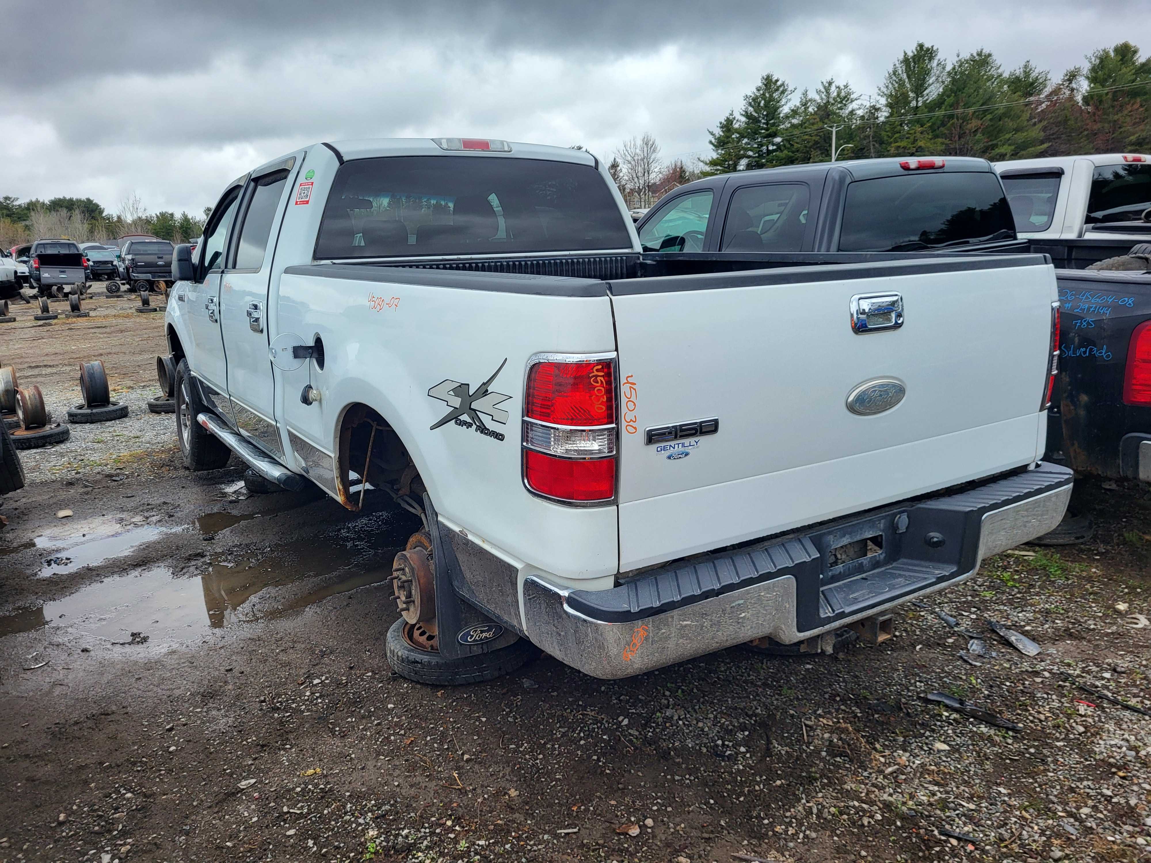 FORD F-150 2007