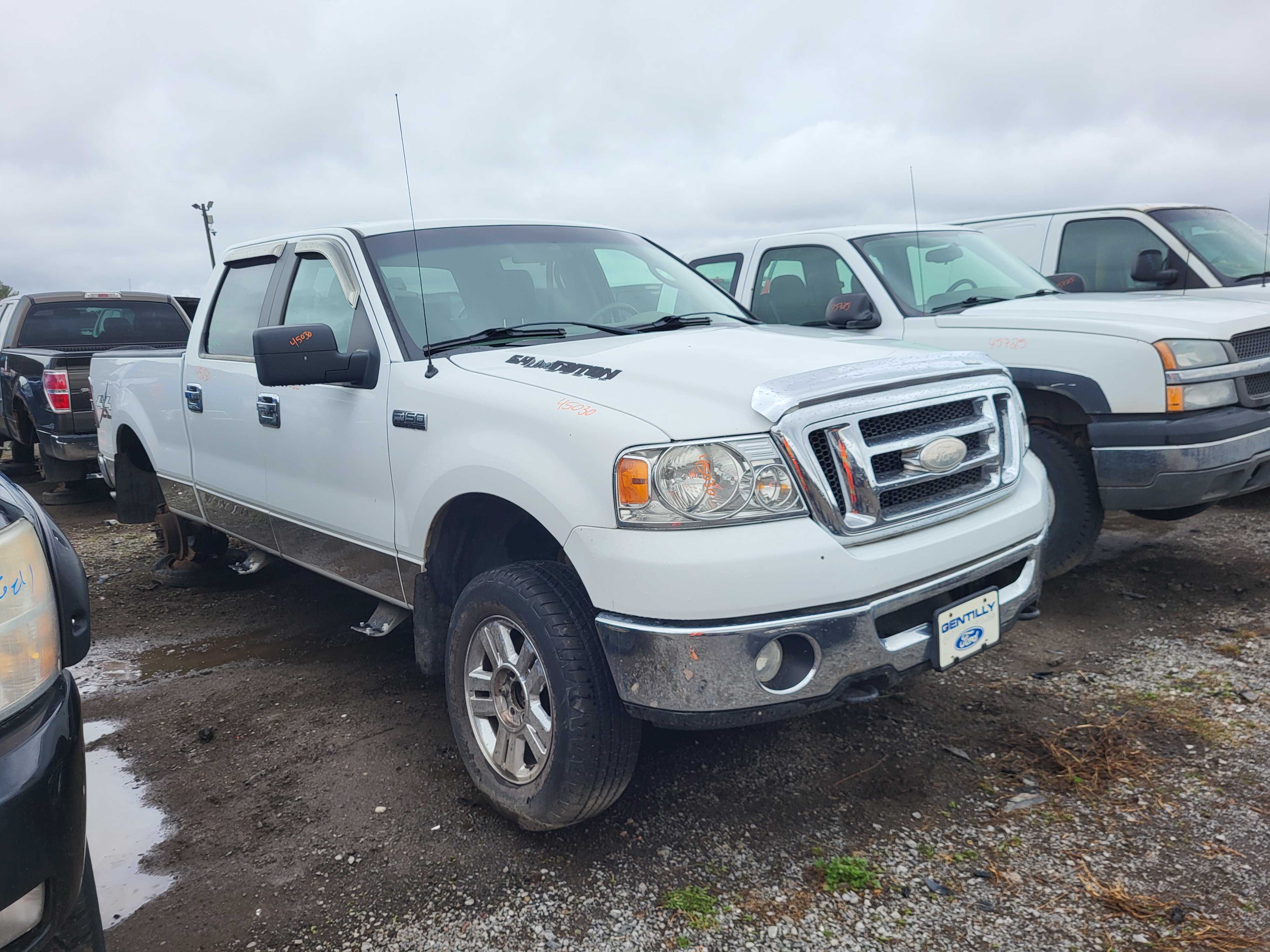 FORD F-150 2007