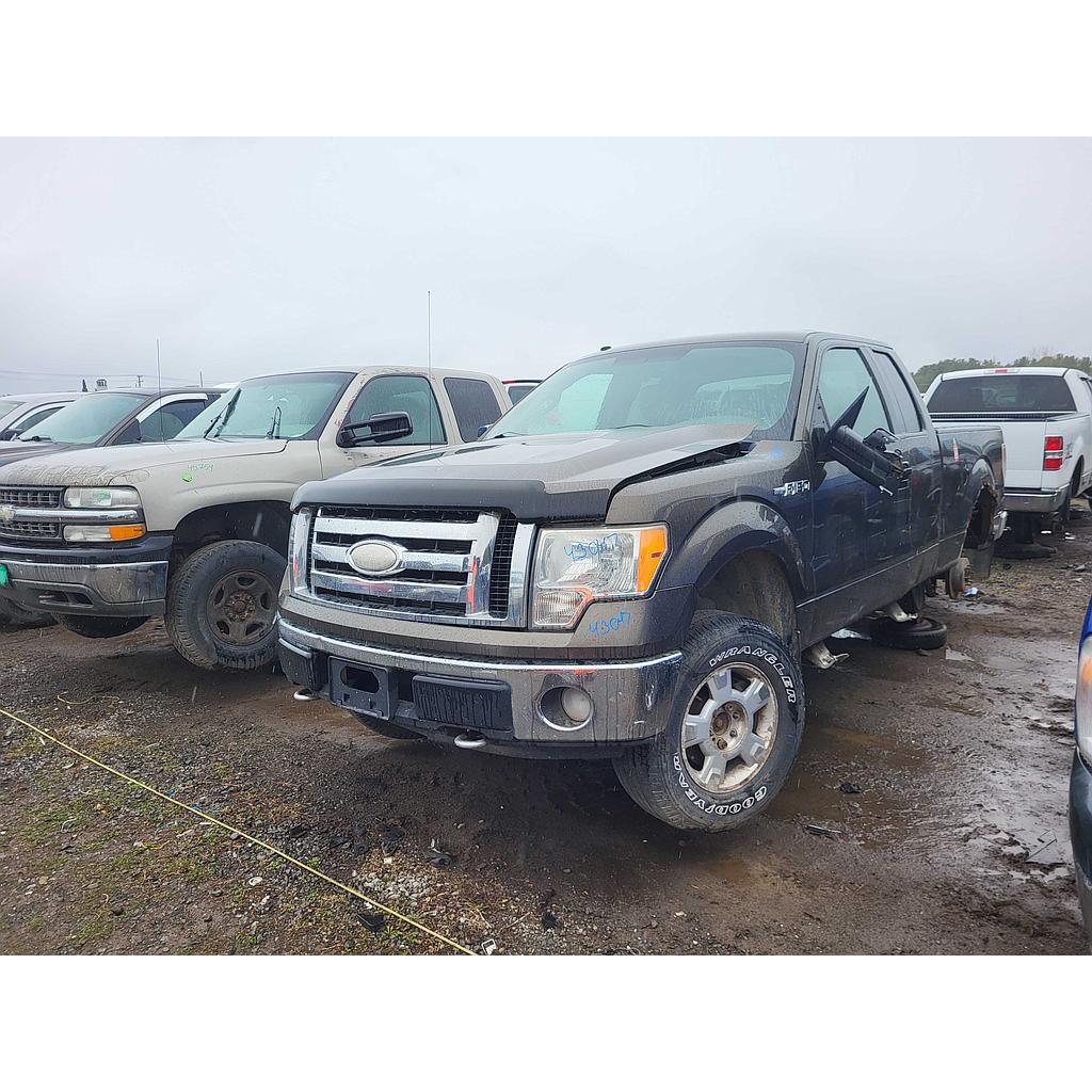 FORD F-150 2009