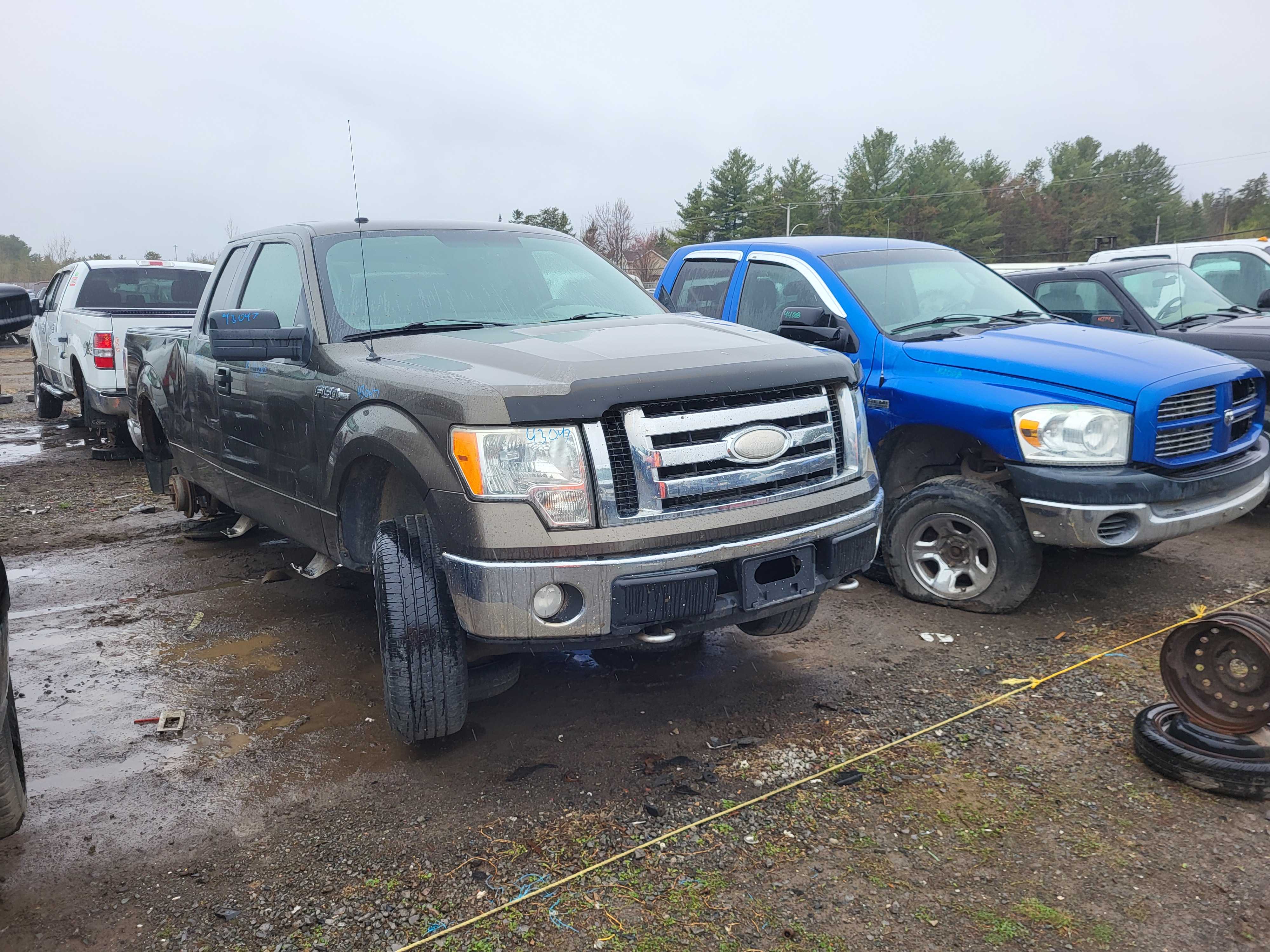 FORD F-150 2009