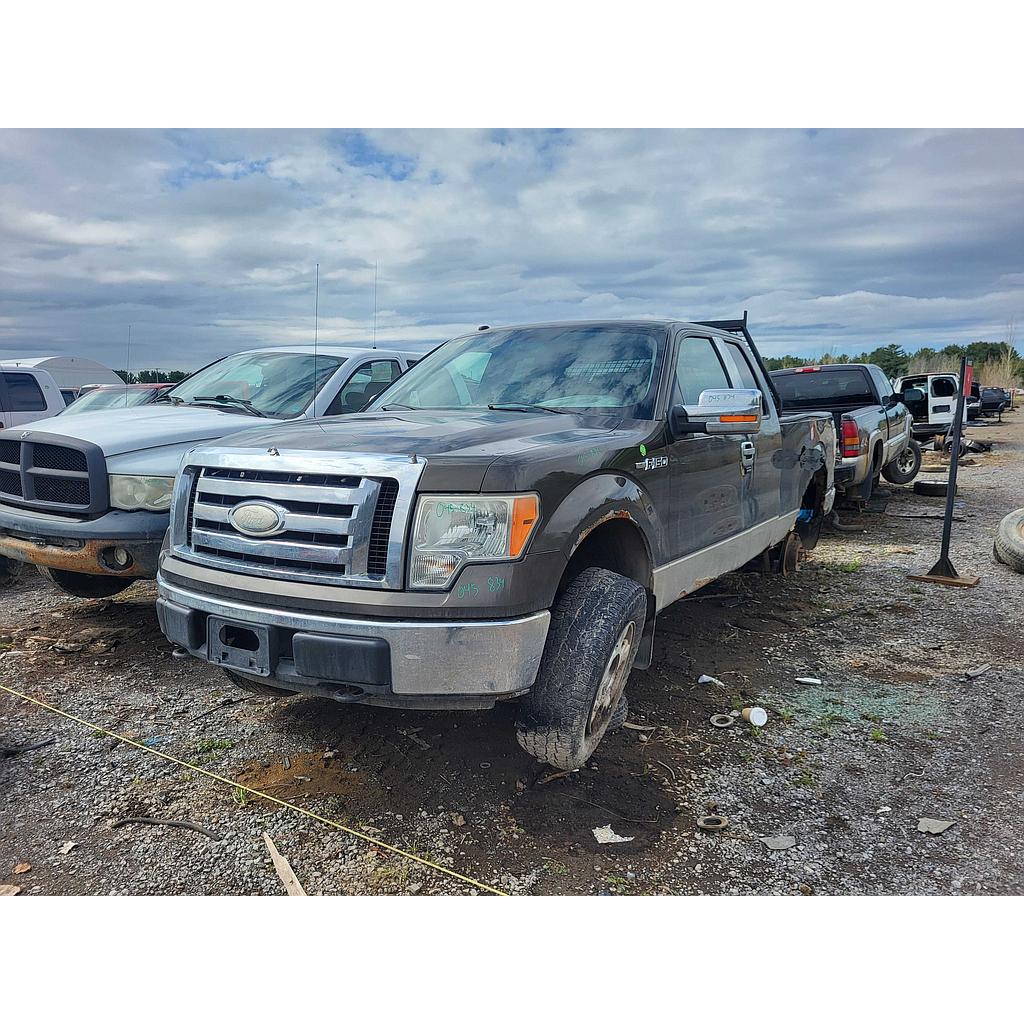 FORD F-150 2009