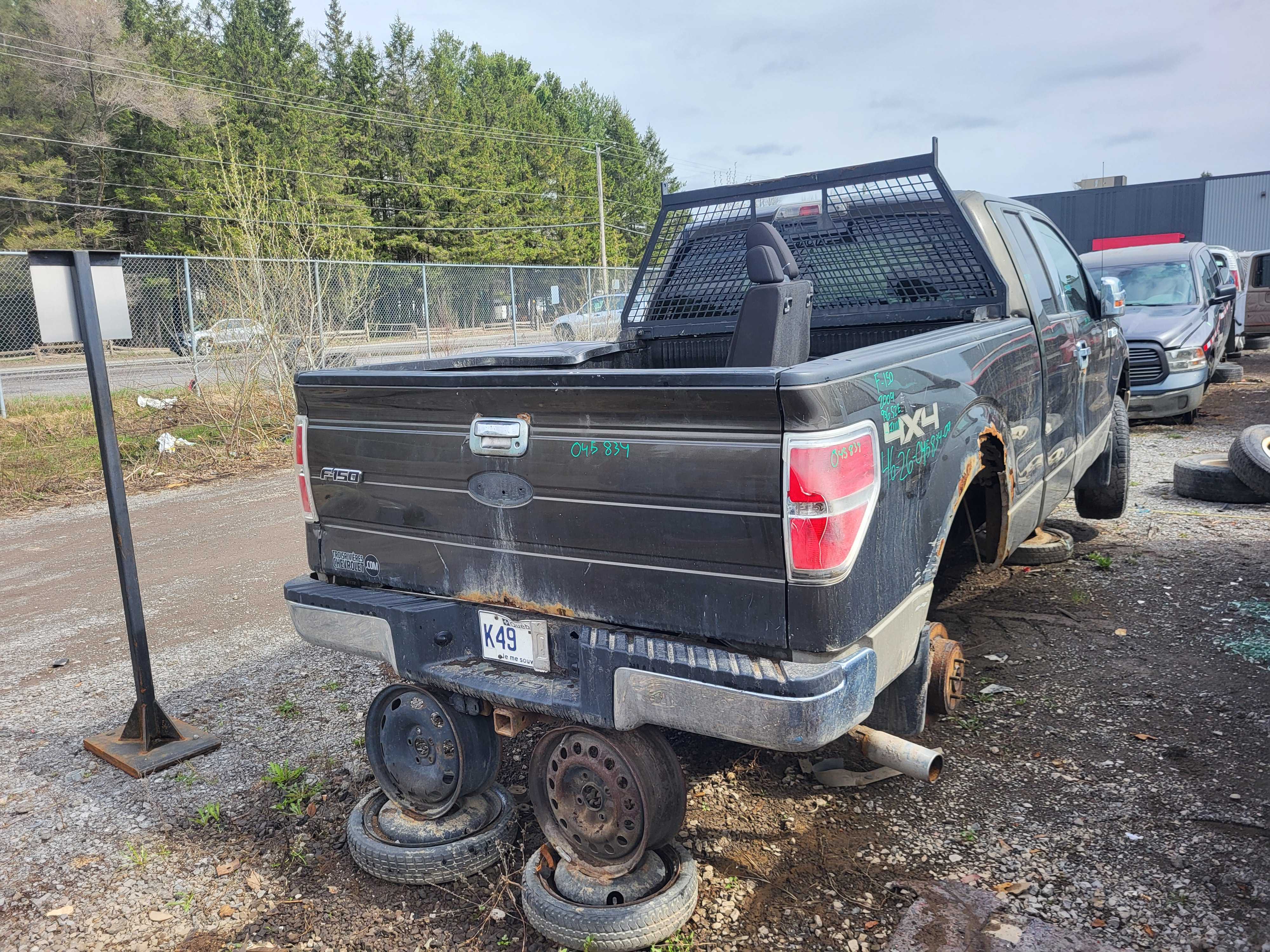 FORD F-150 2009