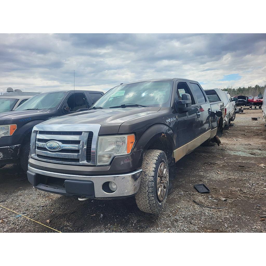 FORD F-150 2009