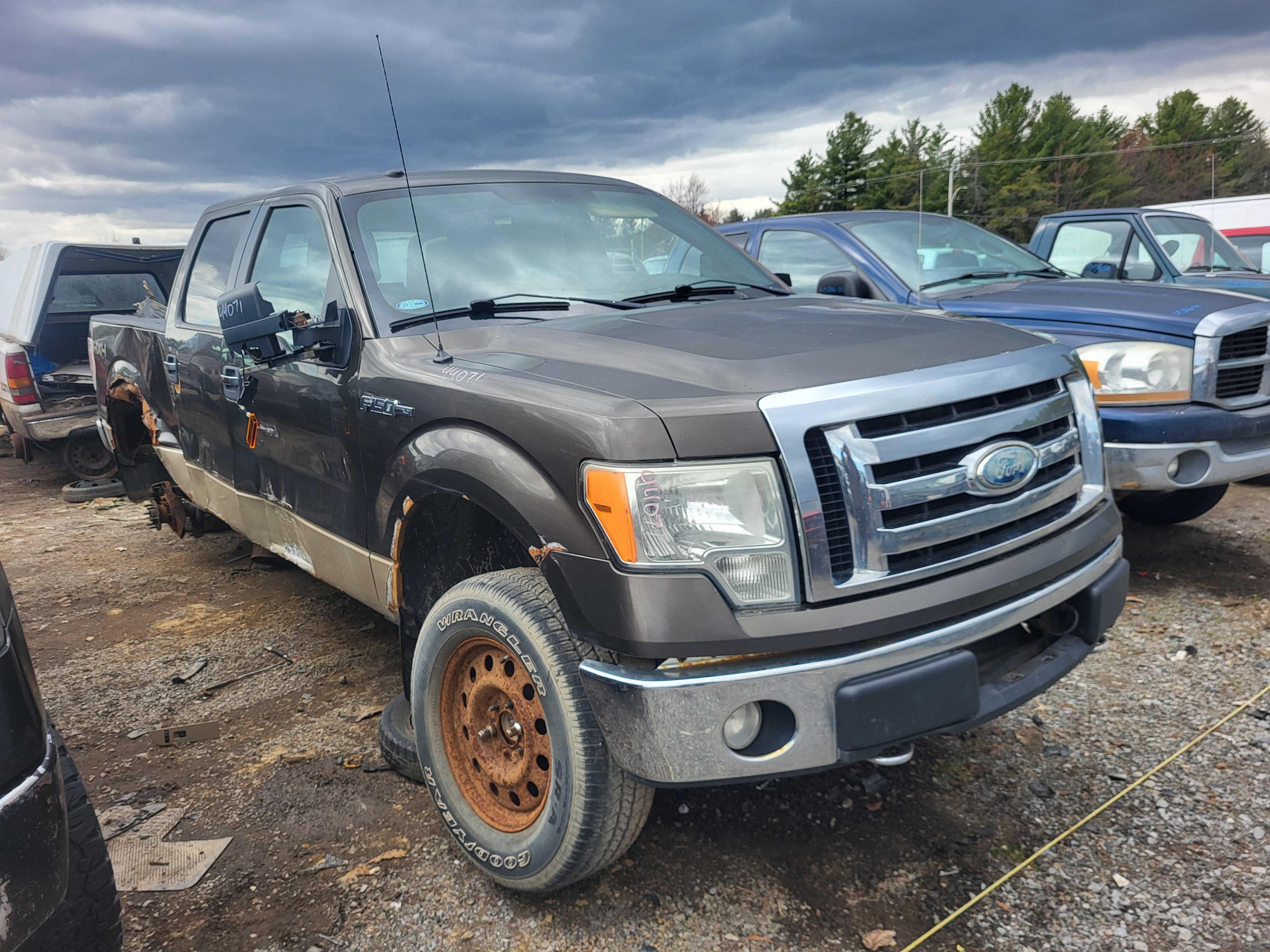 FORD F-150 2009