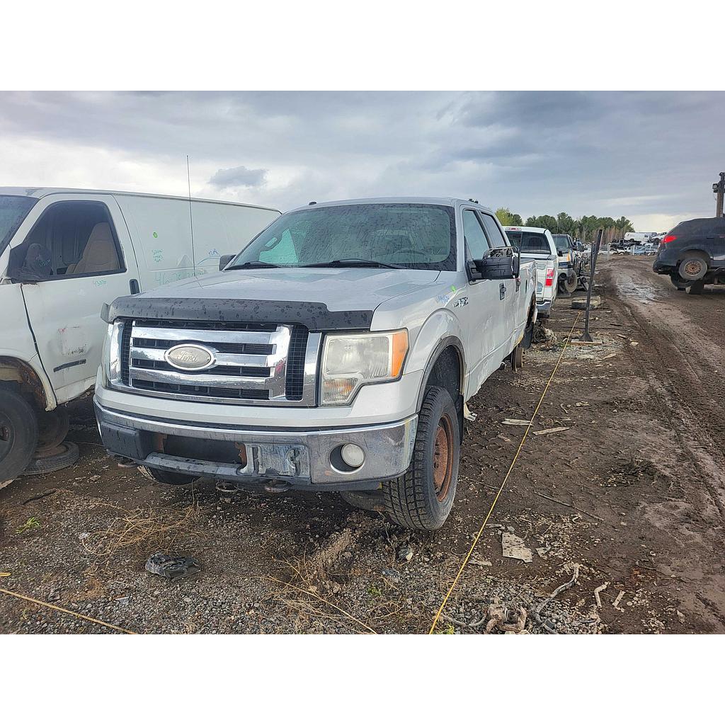 FORD F-150 2009