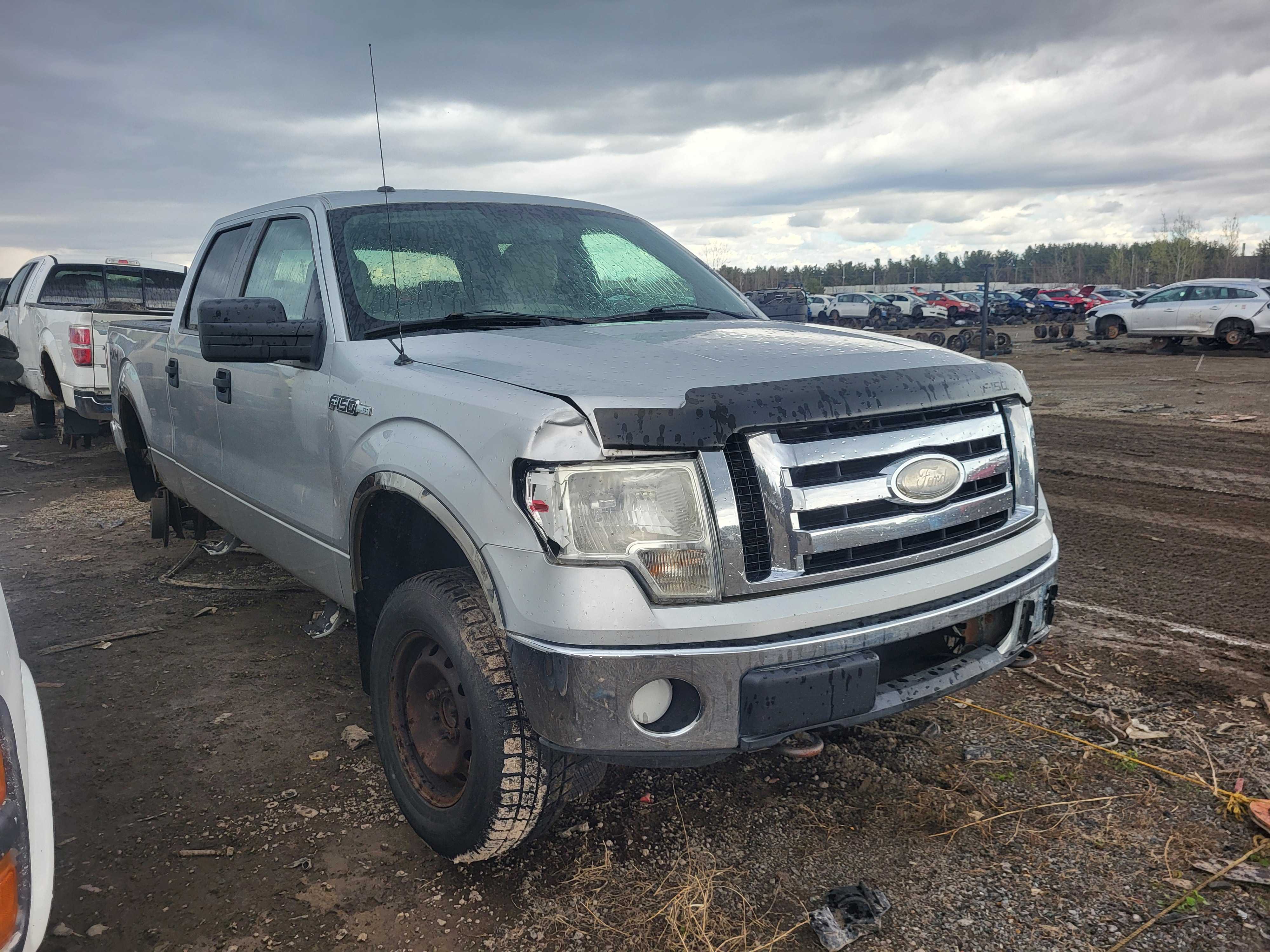 FORD F-150 2009