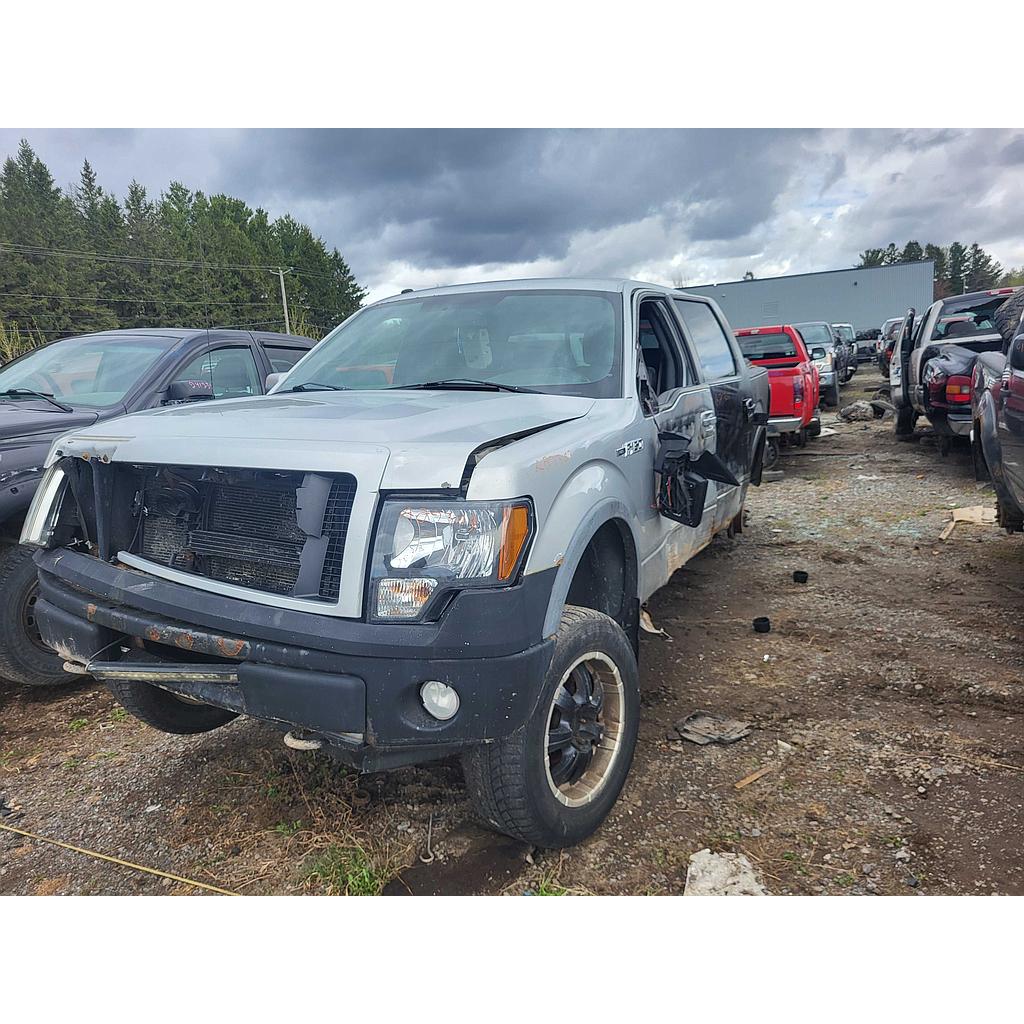FORD F-150 2009