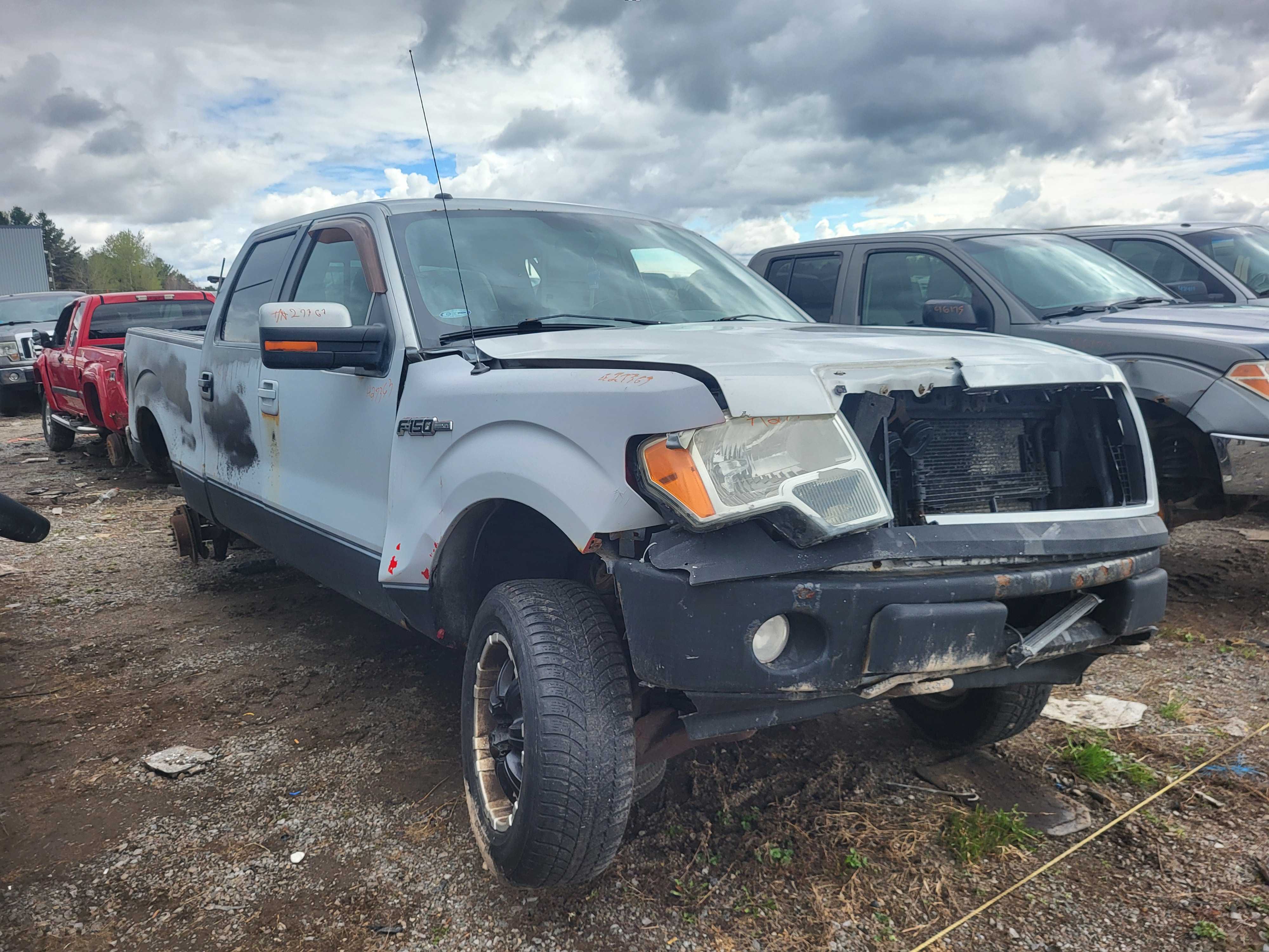 FORD F-150 2009