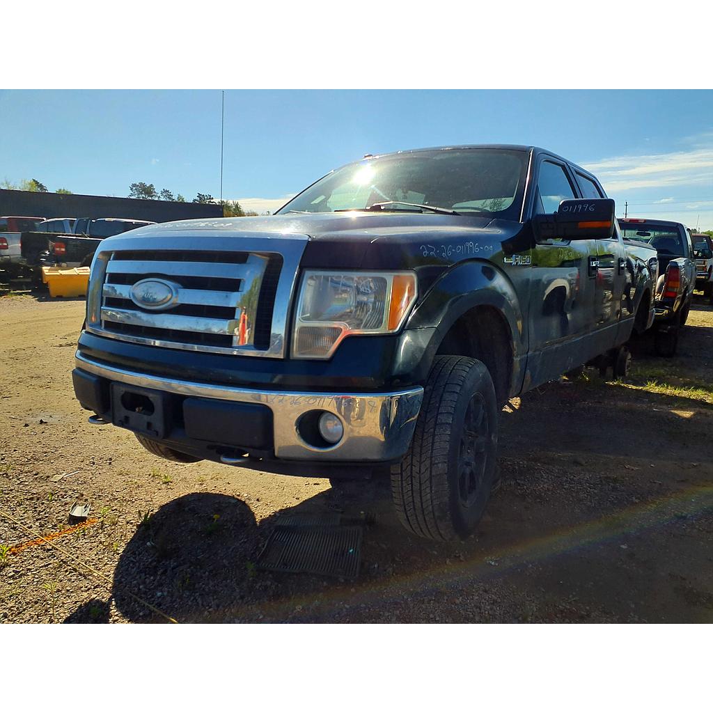 FORD F-150 2009