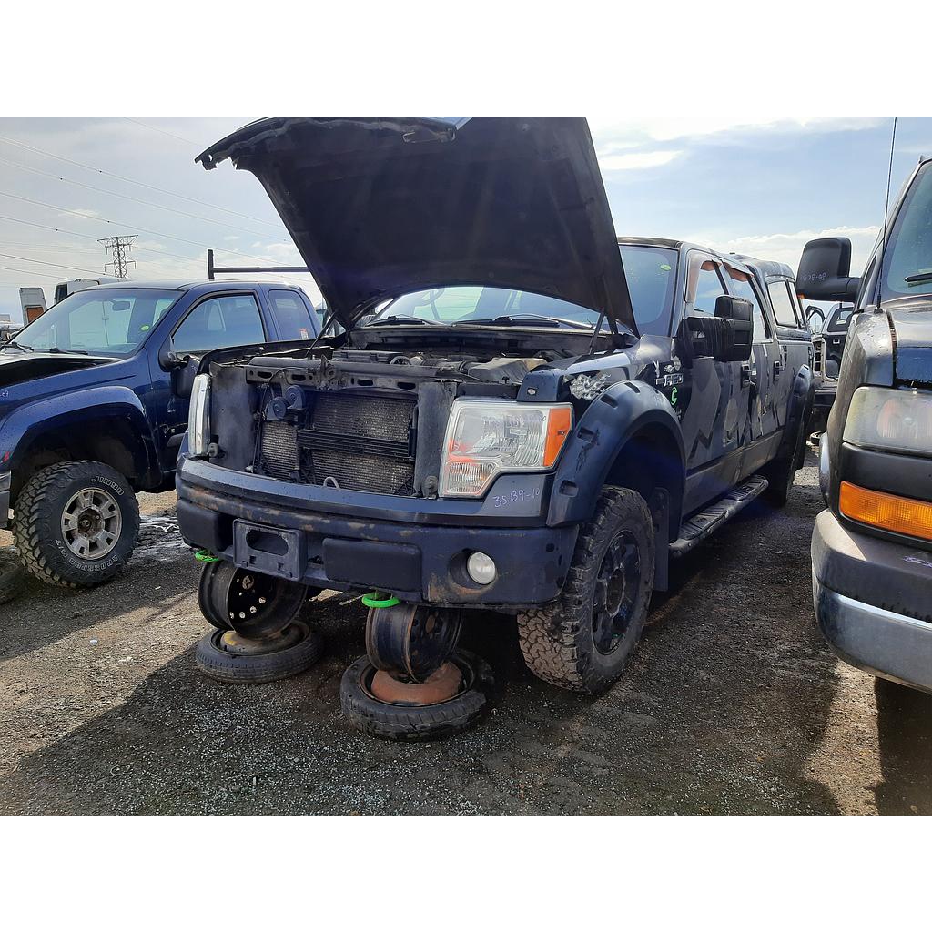 FORD F-150 2010