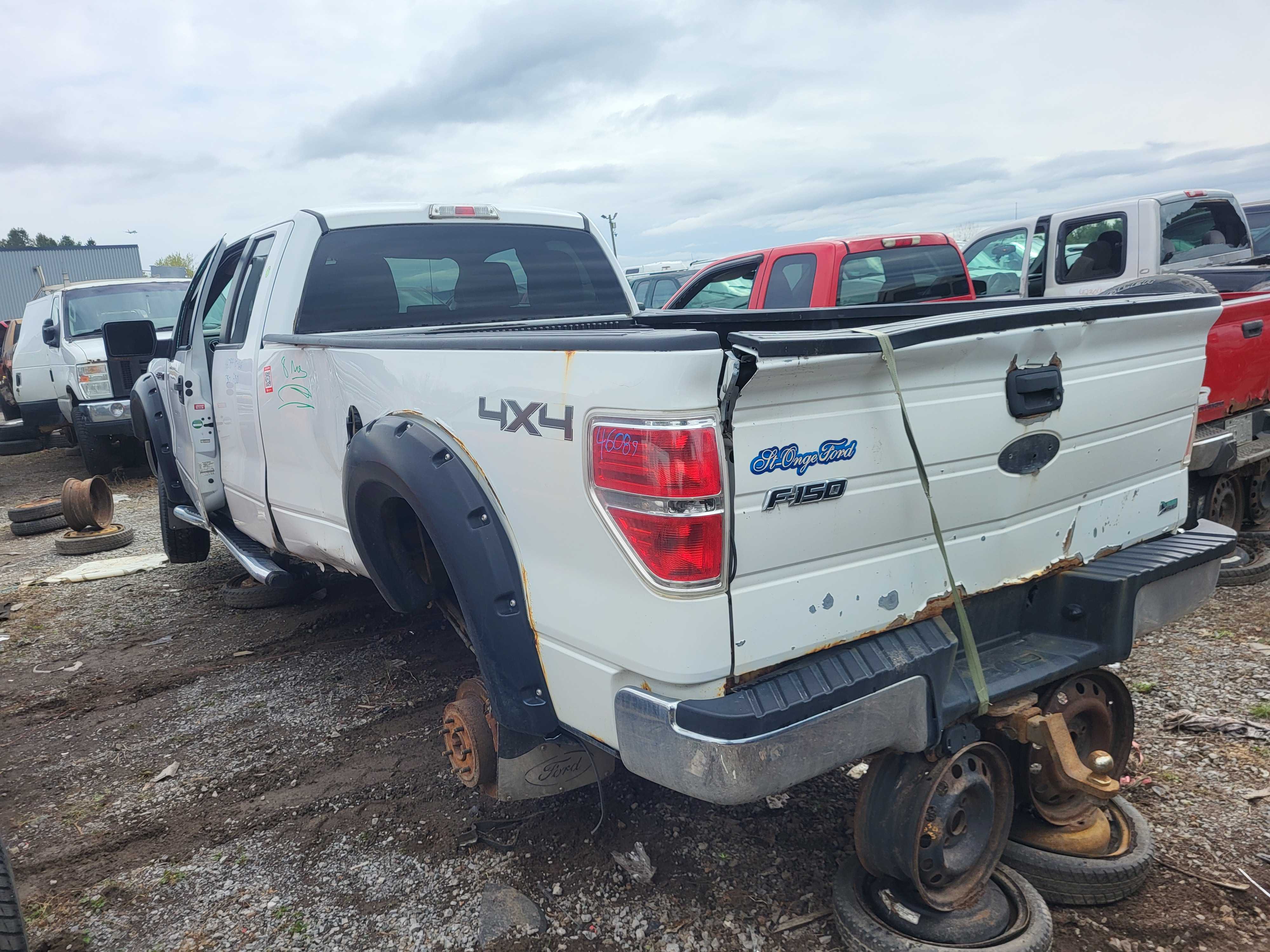 FORD F-150 2010