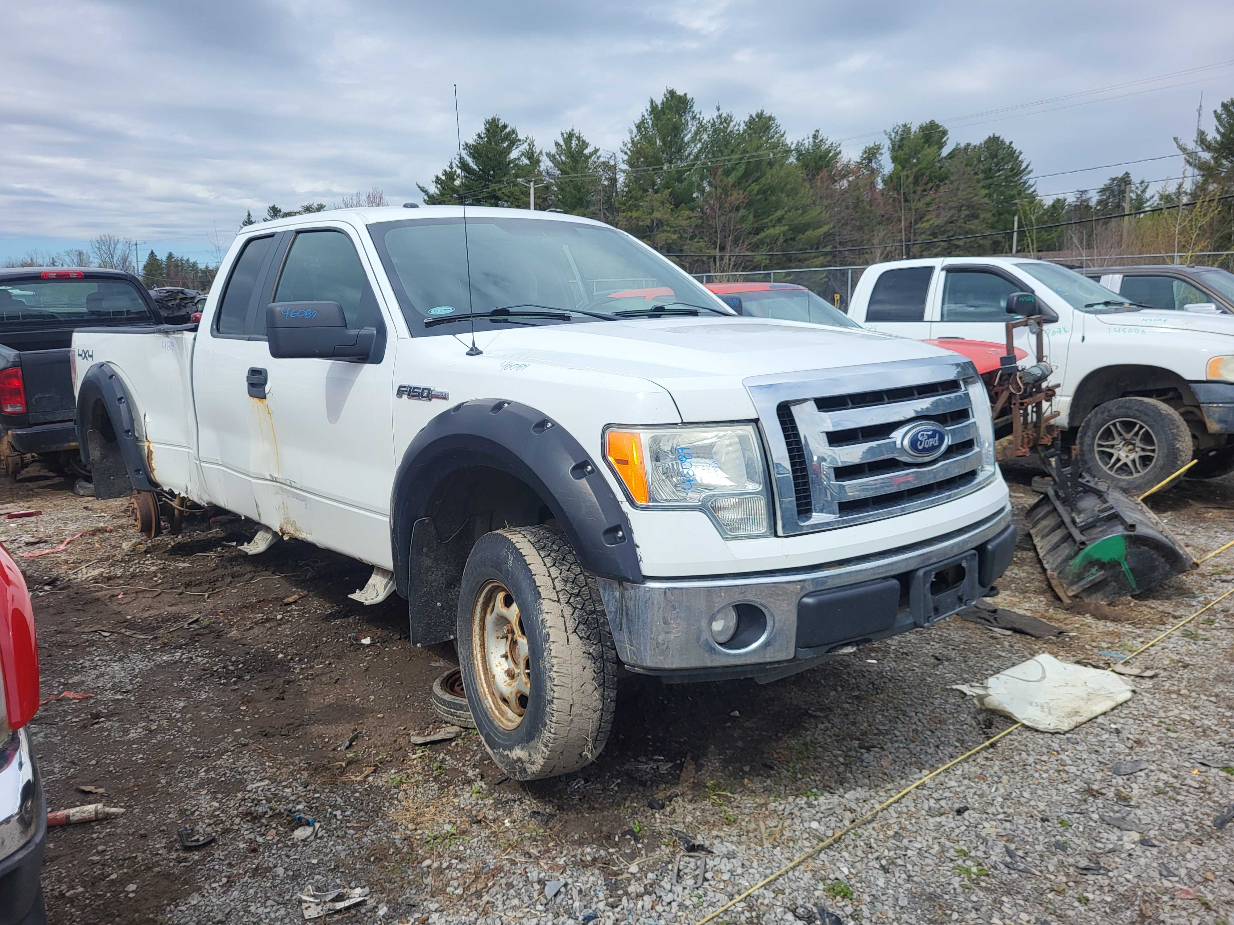 FORD F-150 2010